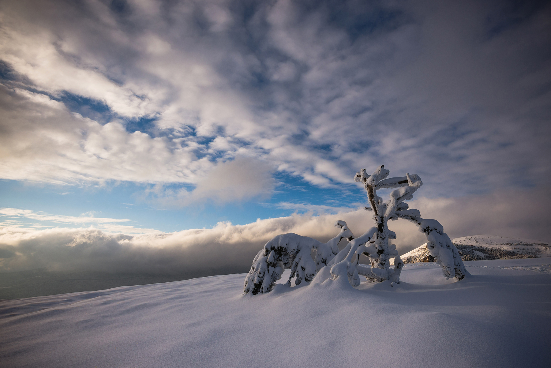 крым, Юрий Коваленко