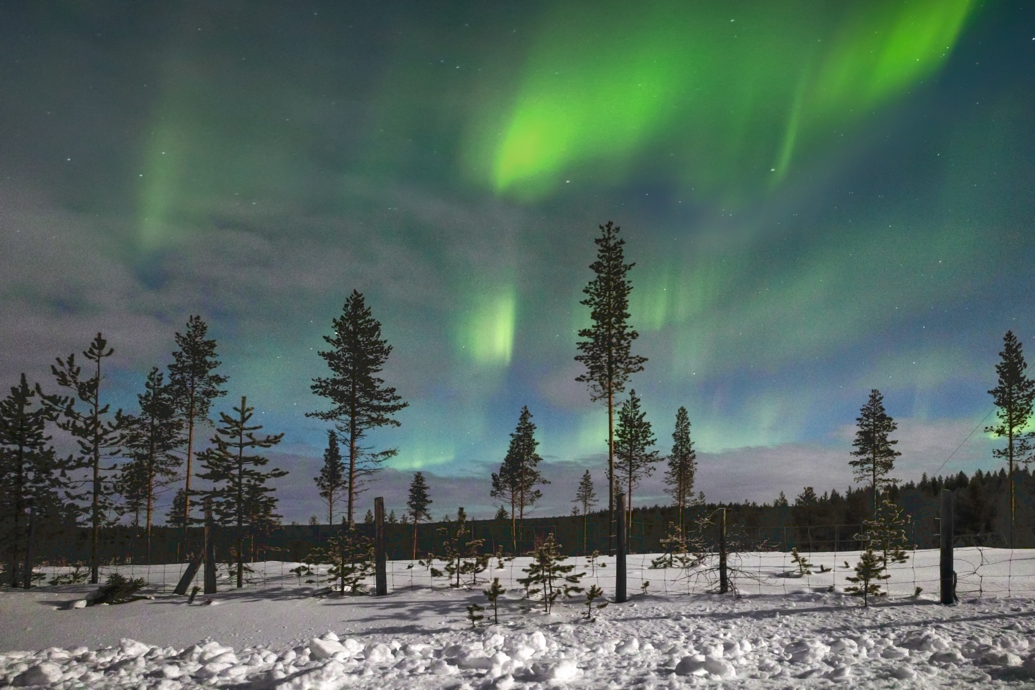, Вадим Городницкий