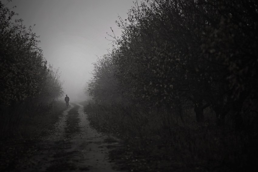 туман, яблоневый, сад, мужчина, одиночество, vurt