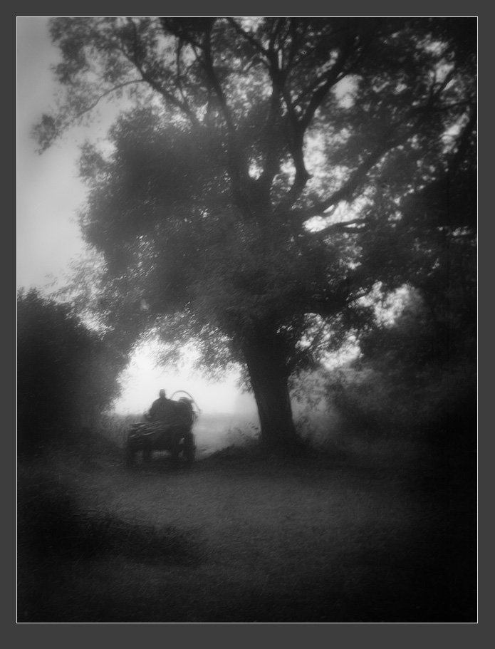 пейзаж, туман, повозка, дерево, Александр Авилов