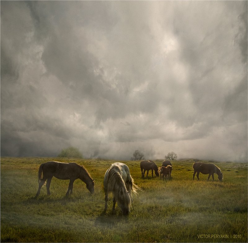 байкал, берег, лошади, туман, травы, Виктор Перякин