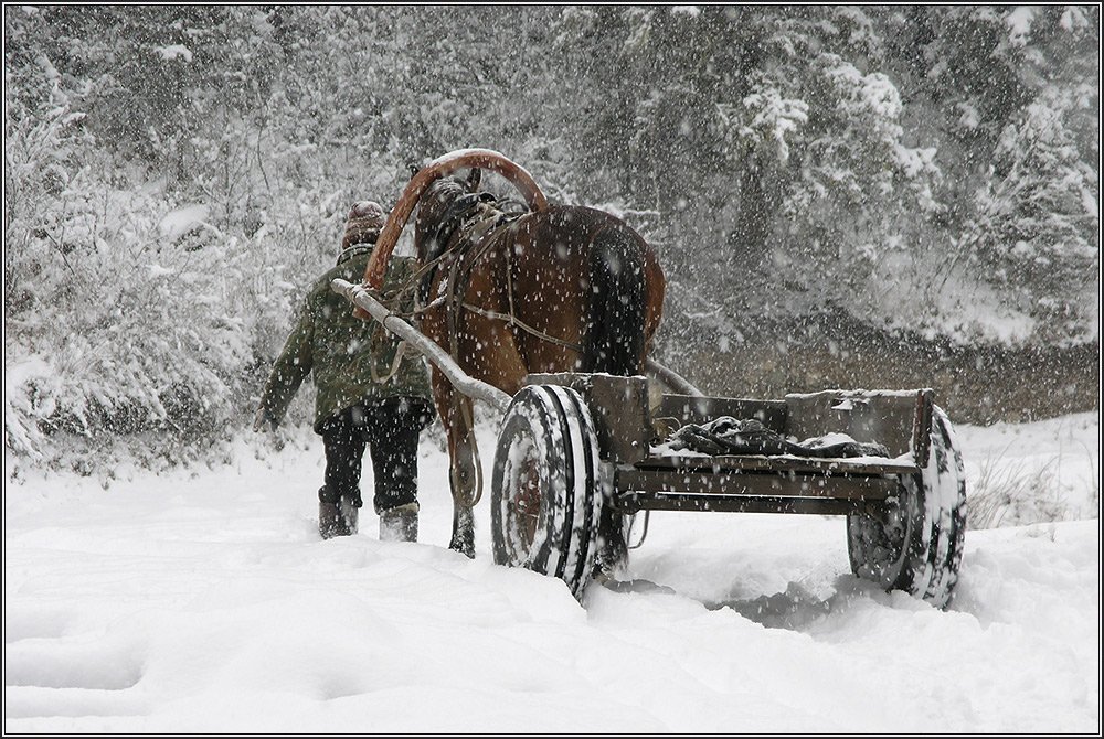 алтай, зима, снег, конь, Виталий Житков