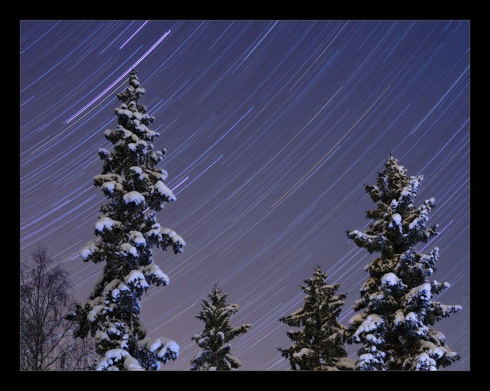 финляндия, ночь, звезды, деревья, елки, длинная выдержка, finland, stars, Александр Ермолицкий