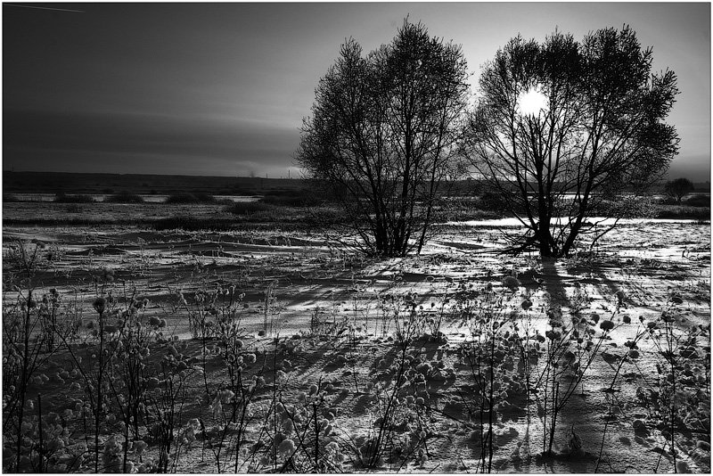 вечер, зима, солнце, деревья, Константин Дмитриев