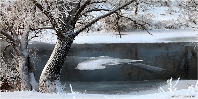 река ,зима,природа,пейзаж,вода,снег,россия,salman,фото,дерево,ива,лебоход,, salman