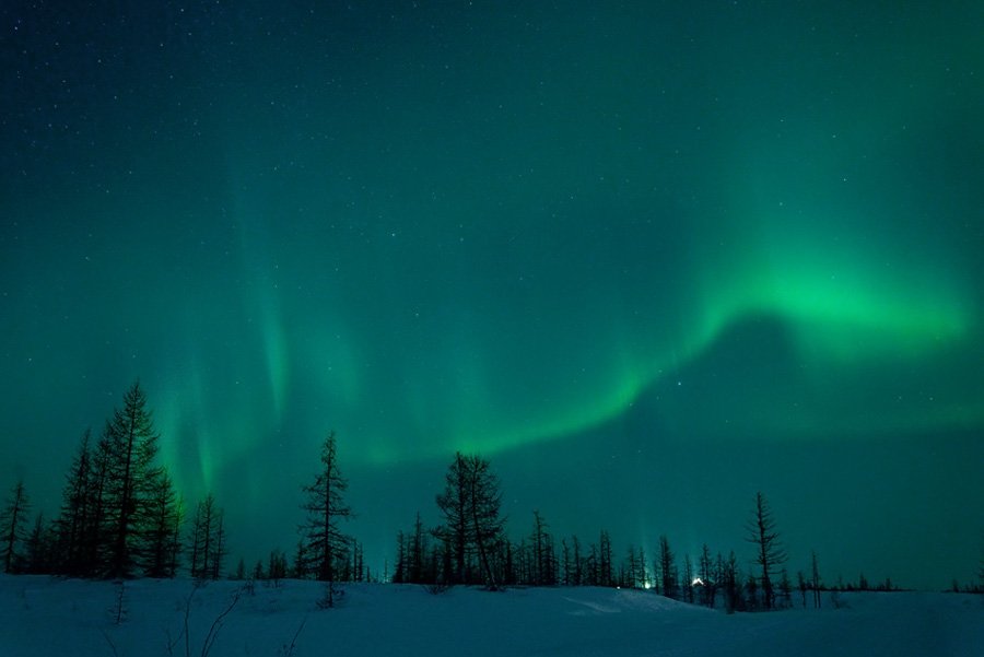 aurora borealis, северное сияние, природа, ночной пезаж, север, Danil Husainov