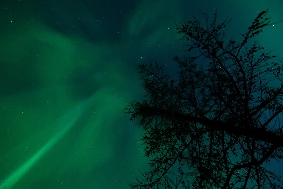 aurora borealis, северное сияние, природа, ночной пейзаж, север, Danil Husainov