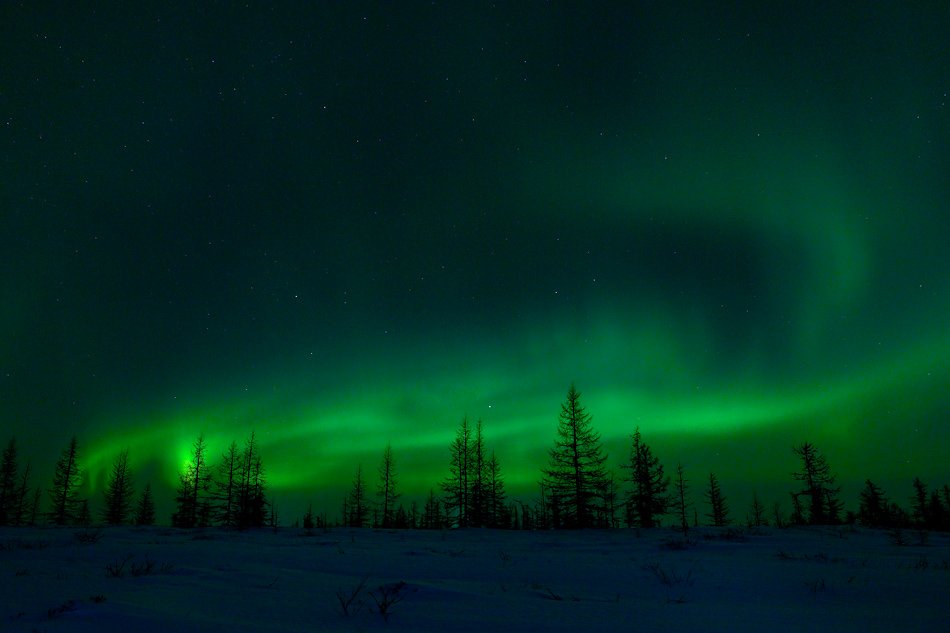 aurora borealis, северное сияние, природа, ночной пейзаж, север, Danil Husainov