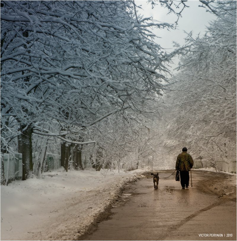 тютчевская, аллея, двое, собака, зима, снег, дорога, Виктор Перякин