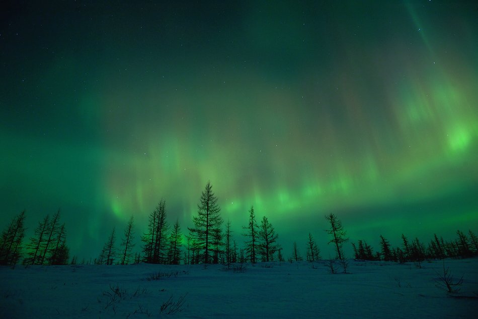 aurora borealis, северное сияние, природа, ночной пезаж, север, Danil Husainov
