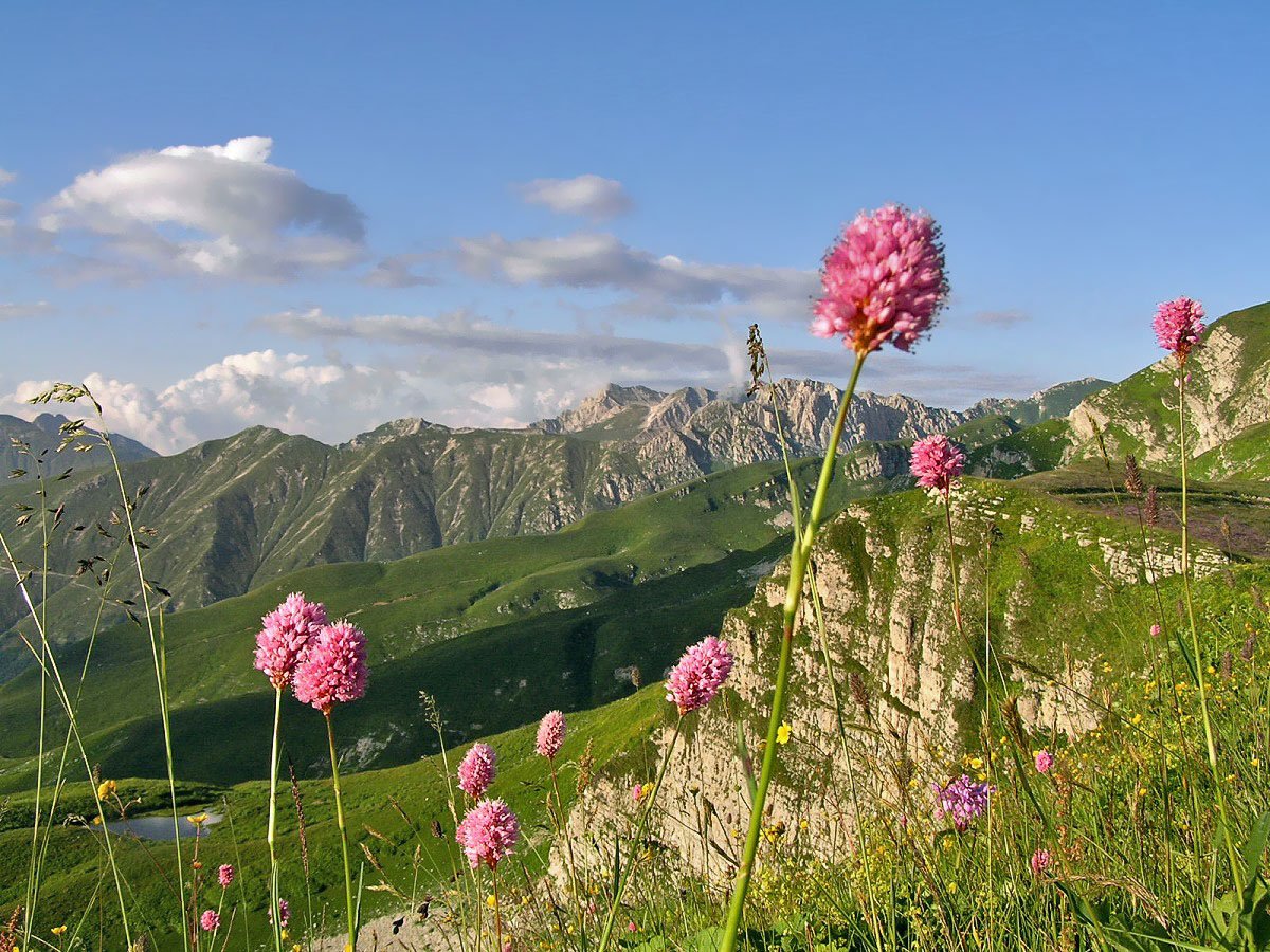 горы, абхазия, Tina Grach