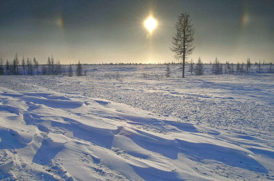 зимы прекрасные узоры, север, природа, пейзаж, Danil Husainov
