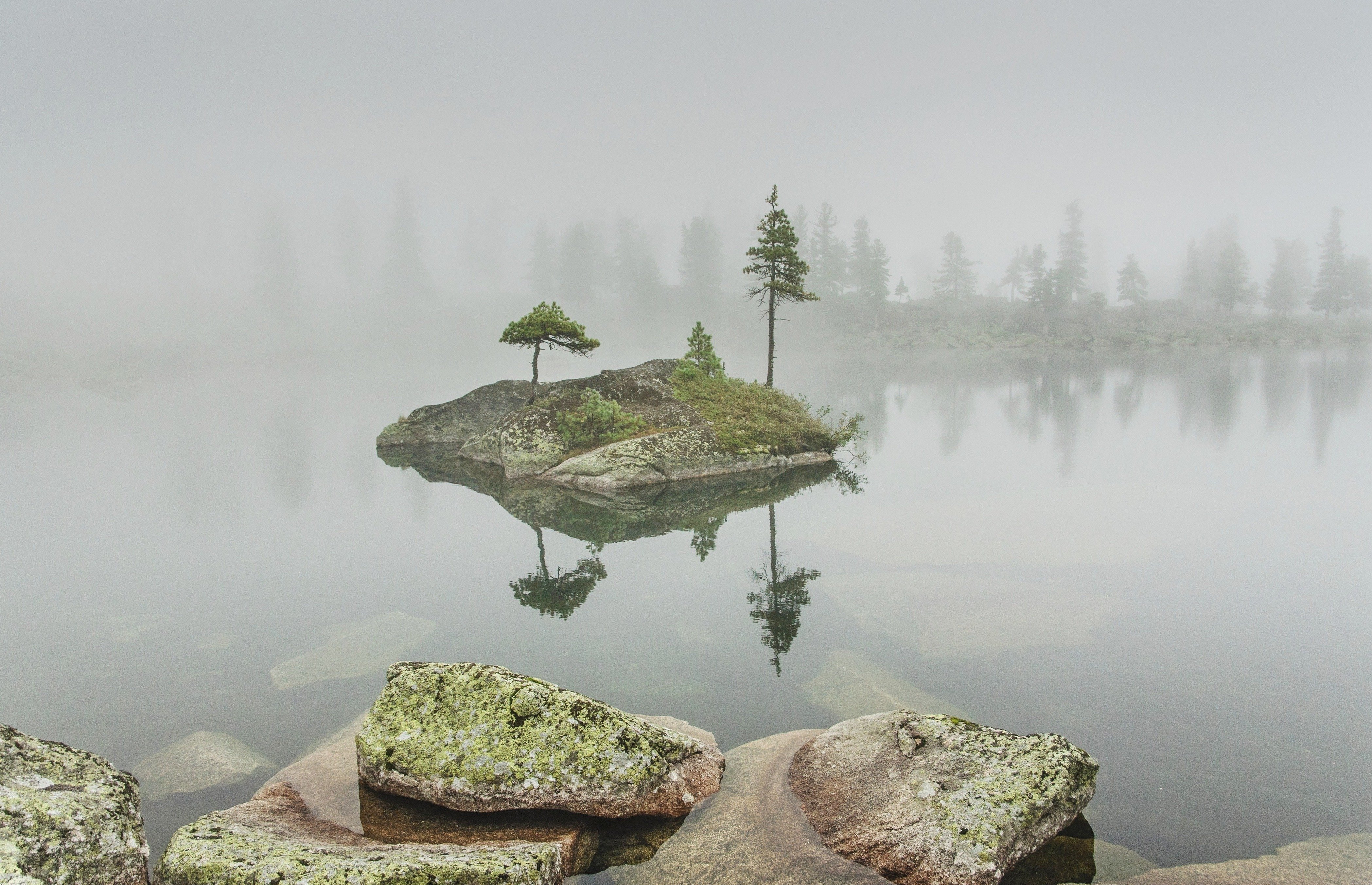 Озеро в центре острова. Озеро художников Ергаки в тумане. Остров на озере. Островок на озере. Плавающие острова на озере.