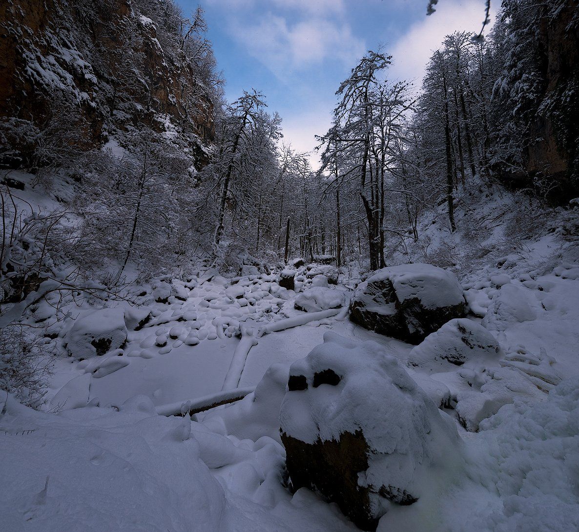 , Олег Скан