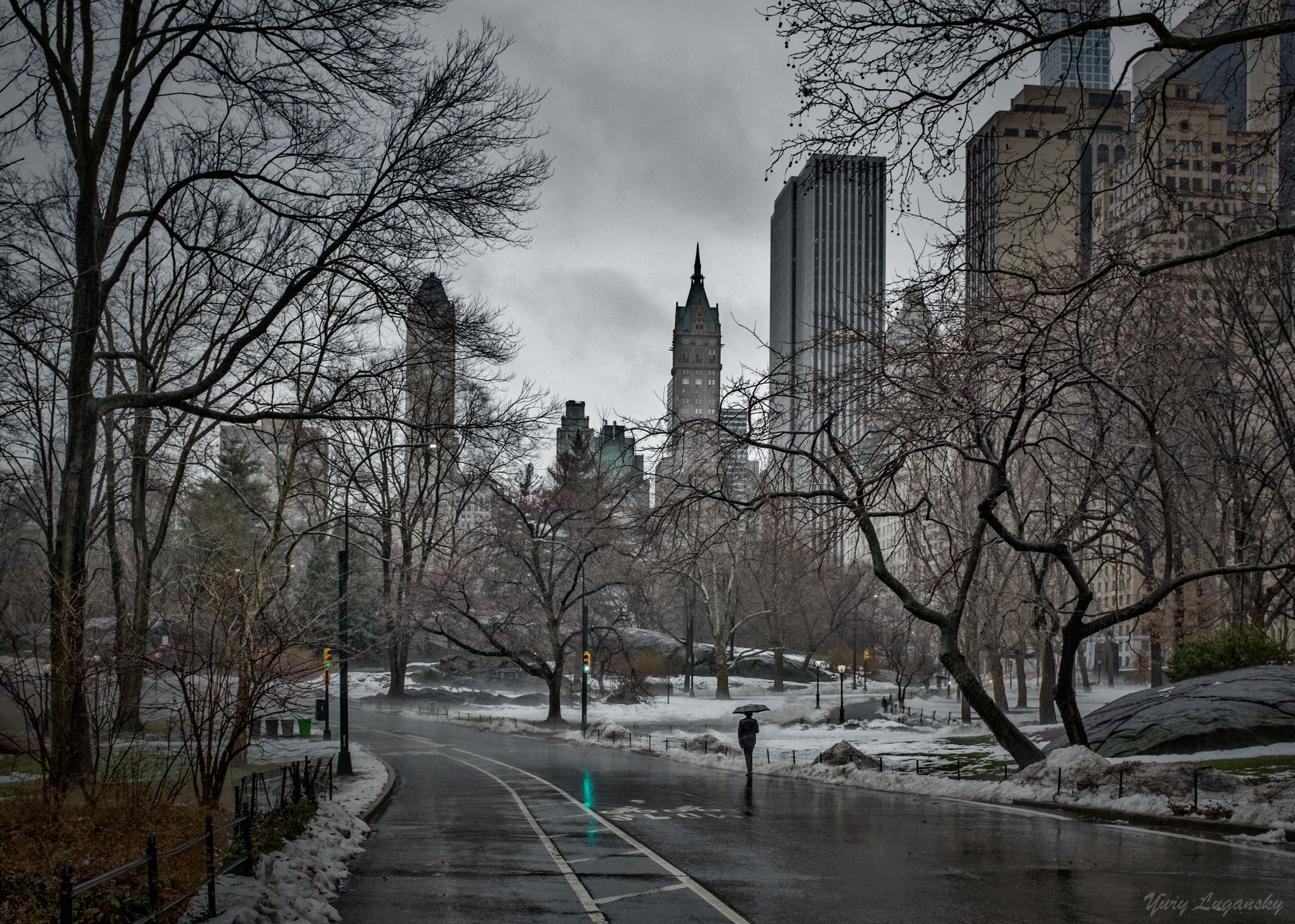 Loneliness central park winter new york city, Yury Lugansky