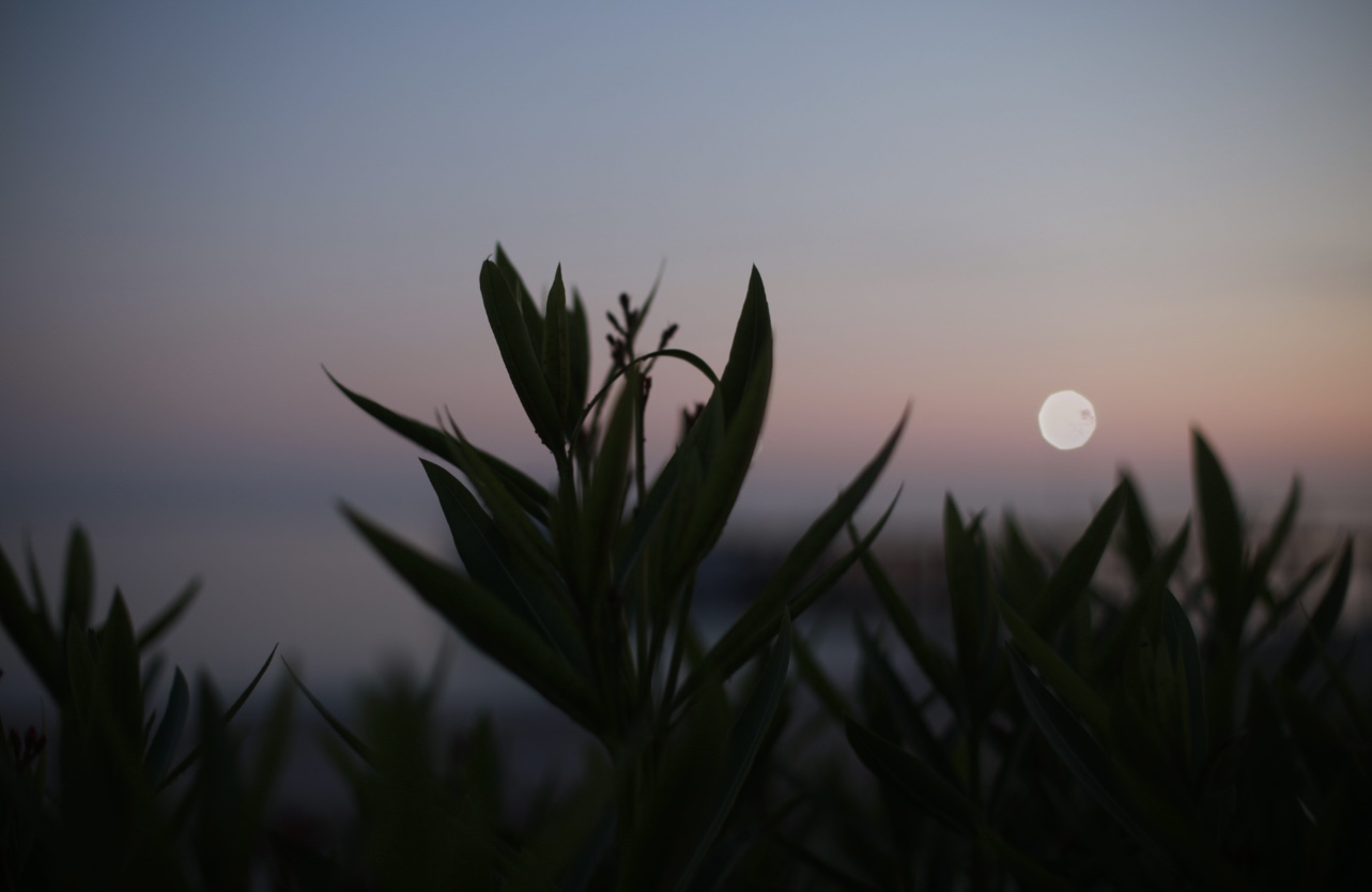 море, закат, солнце, природа, лето, Алёна Салтыкова