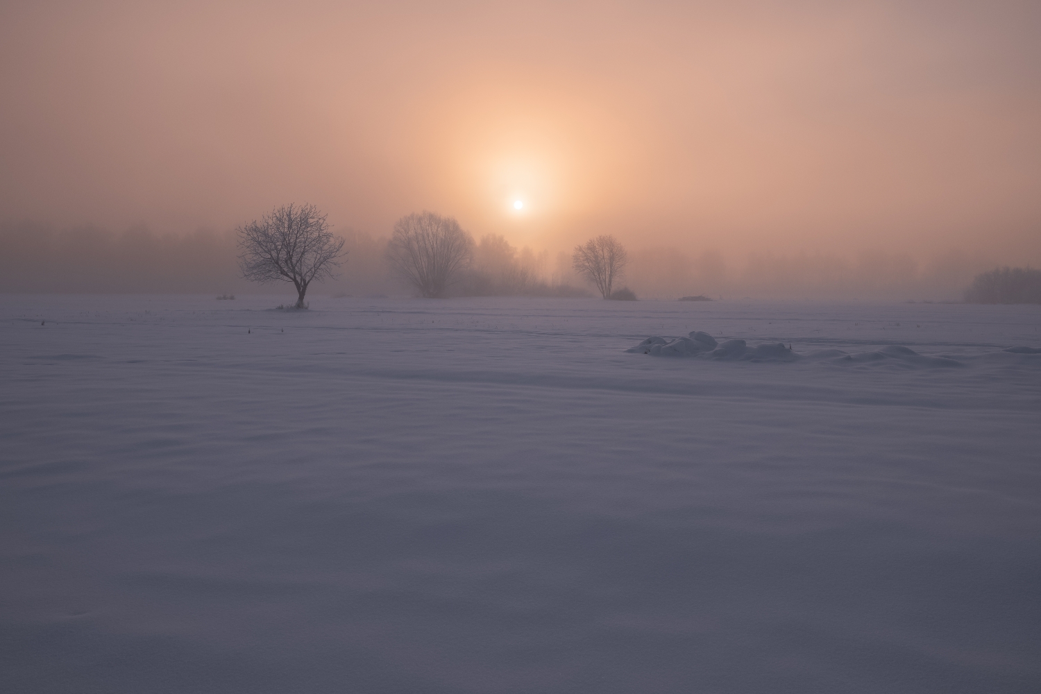 , Константин Григорьев