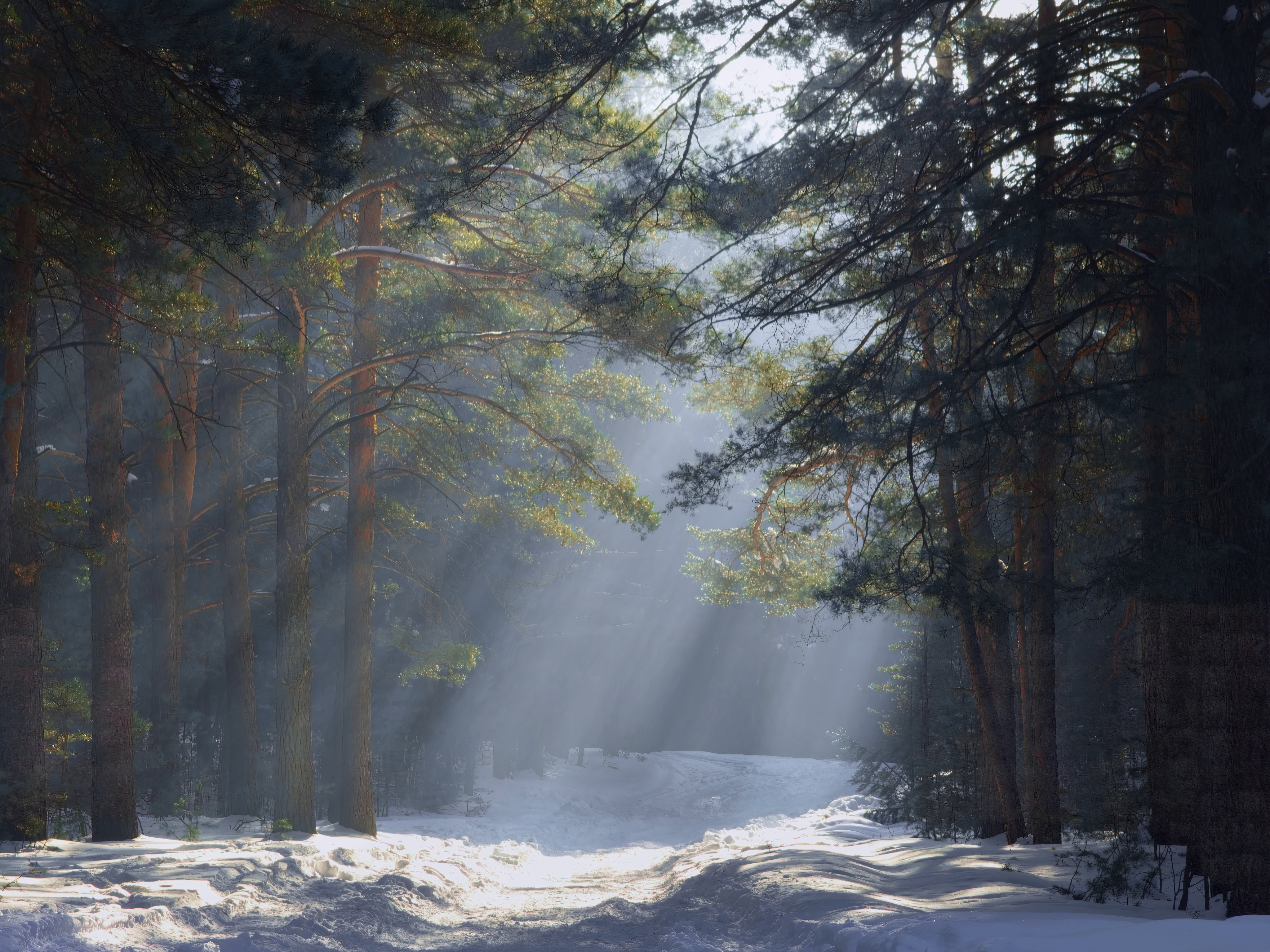 , Кузнецов Дмитрий
