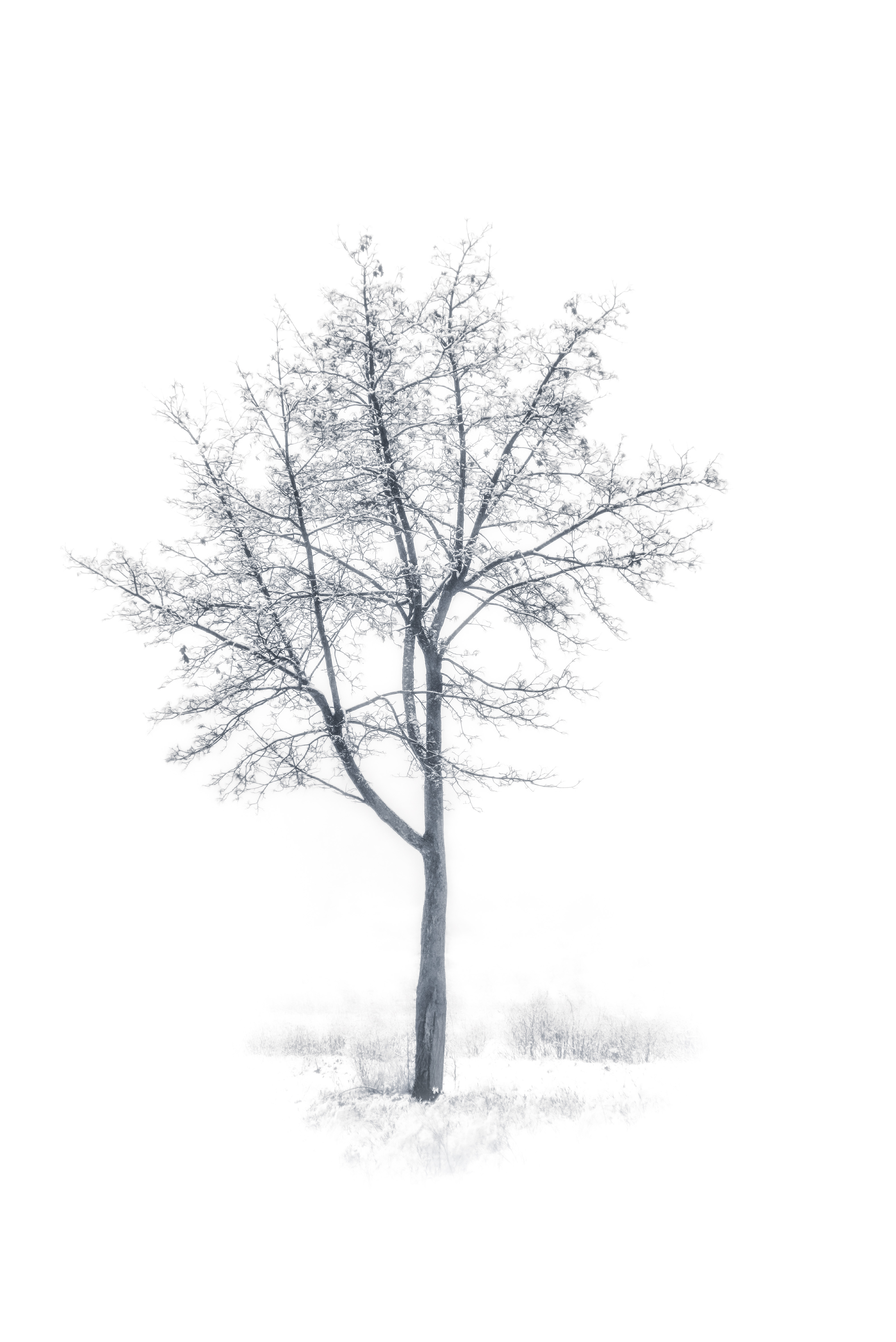 , Валерий Вторыгин