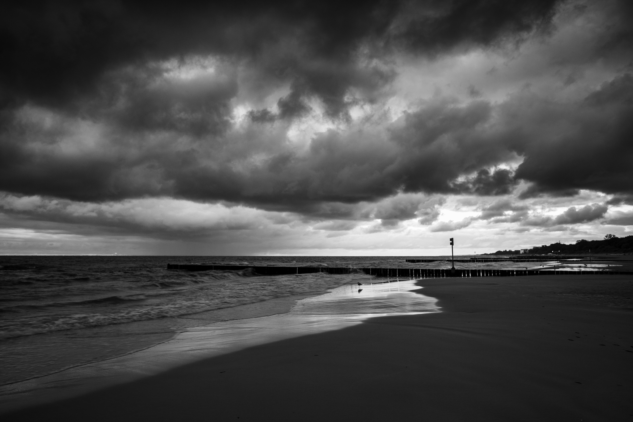 ,  Mirosław Pruchnicki