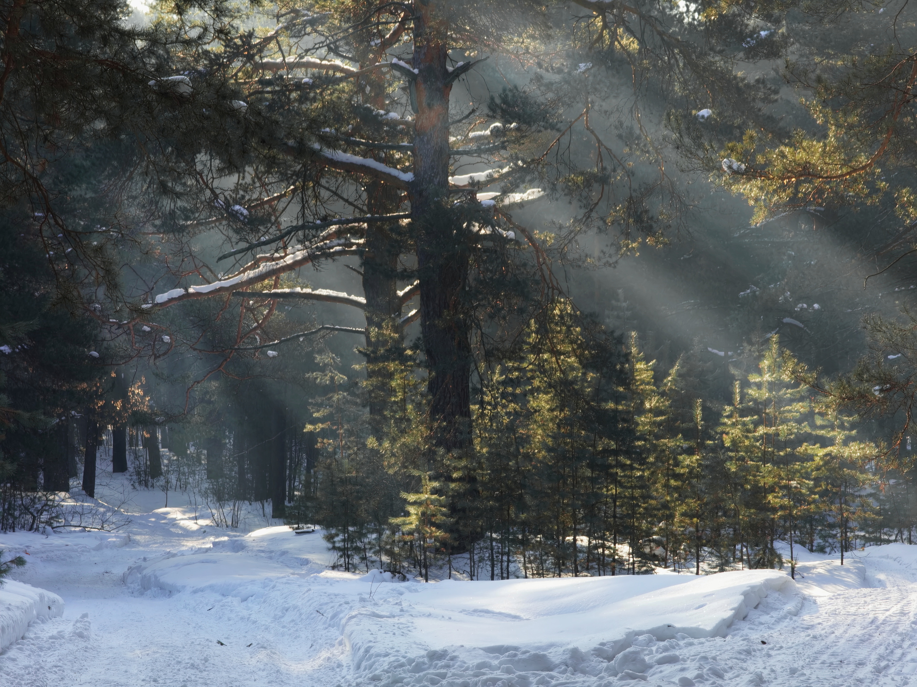 , Кузнецов Дмитрий