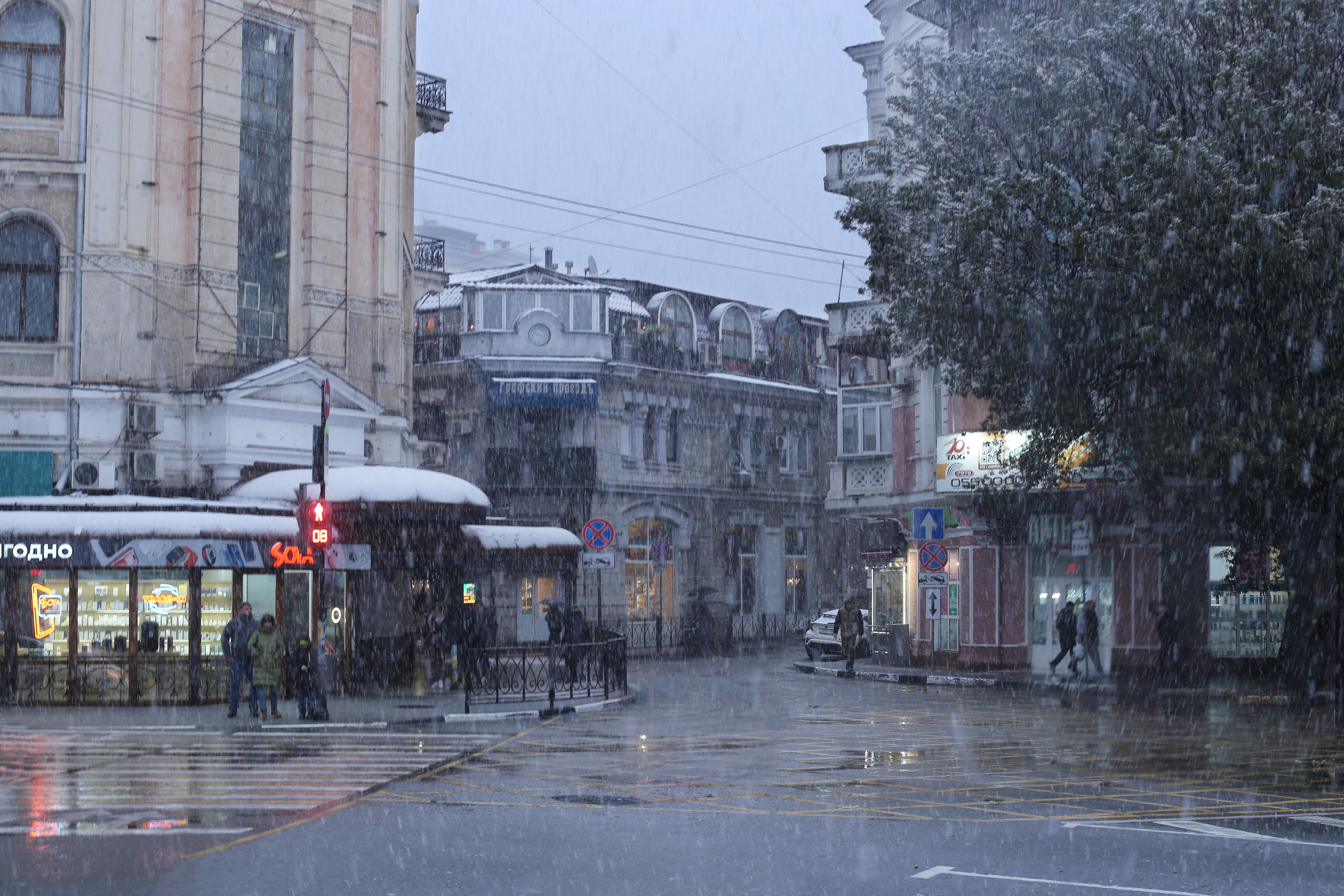 ялта, февраль, Ирина Гайворонская