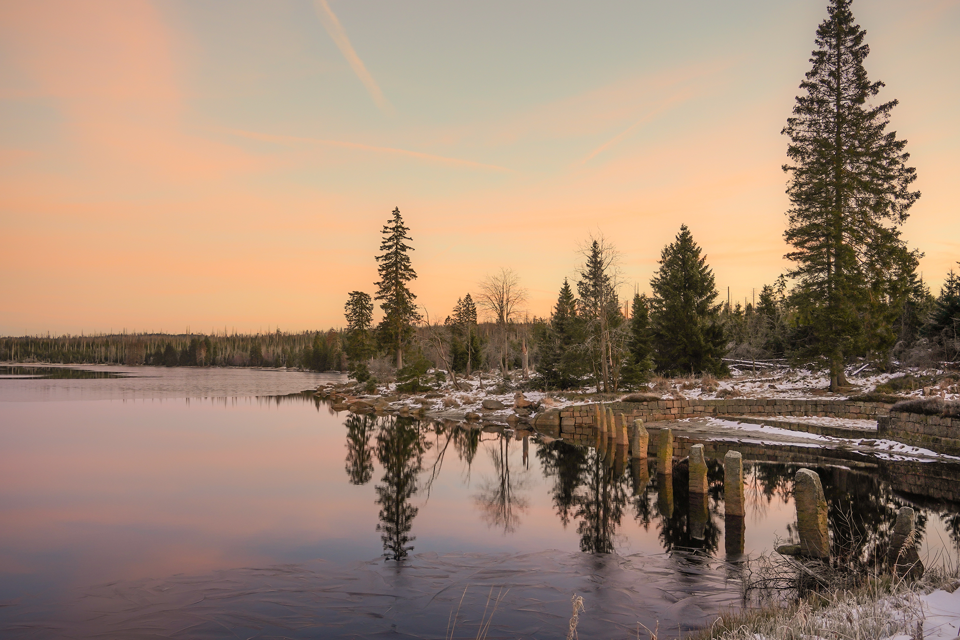 , Игорь Дубровский