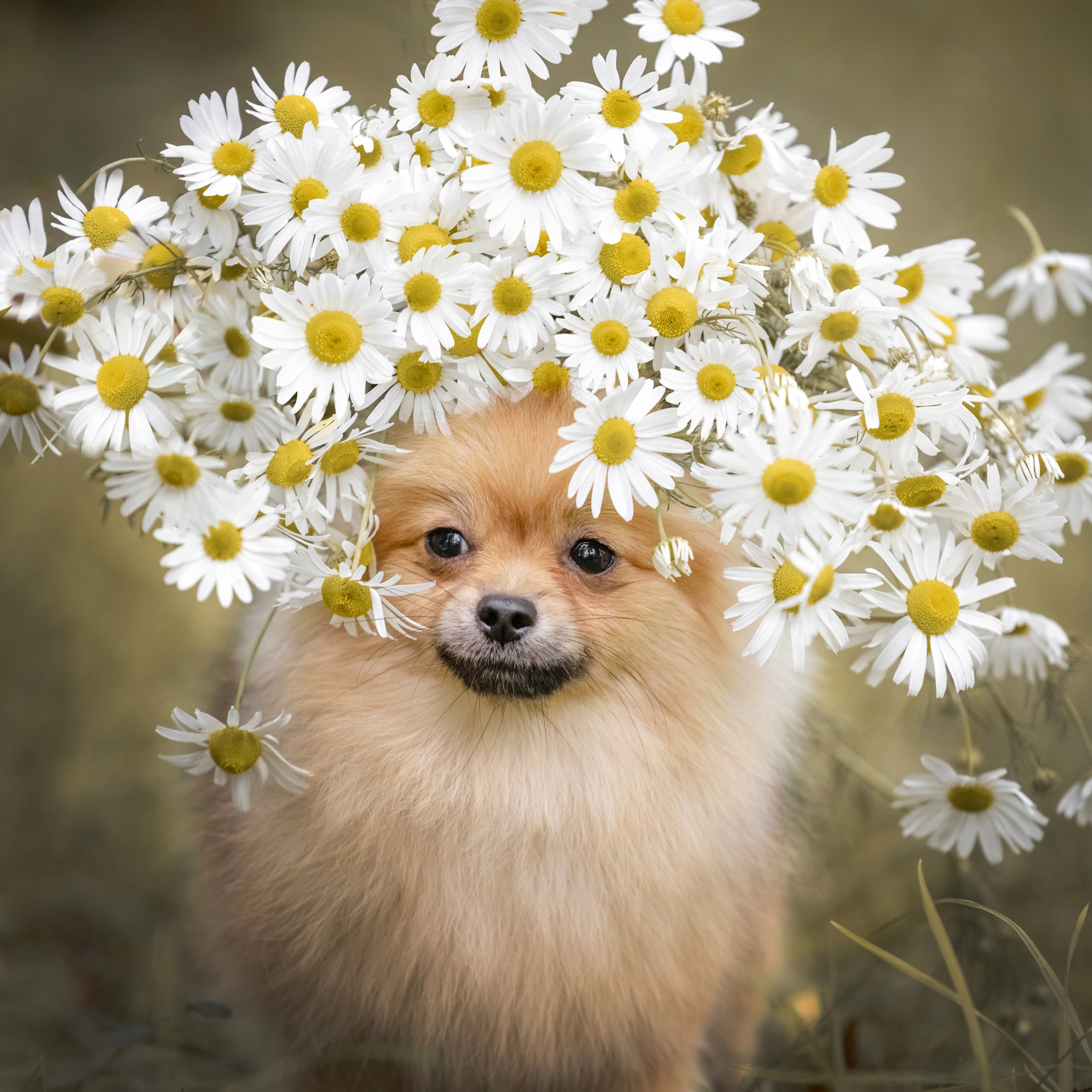 , Татьяна Тихомирова