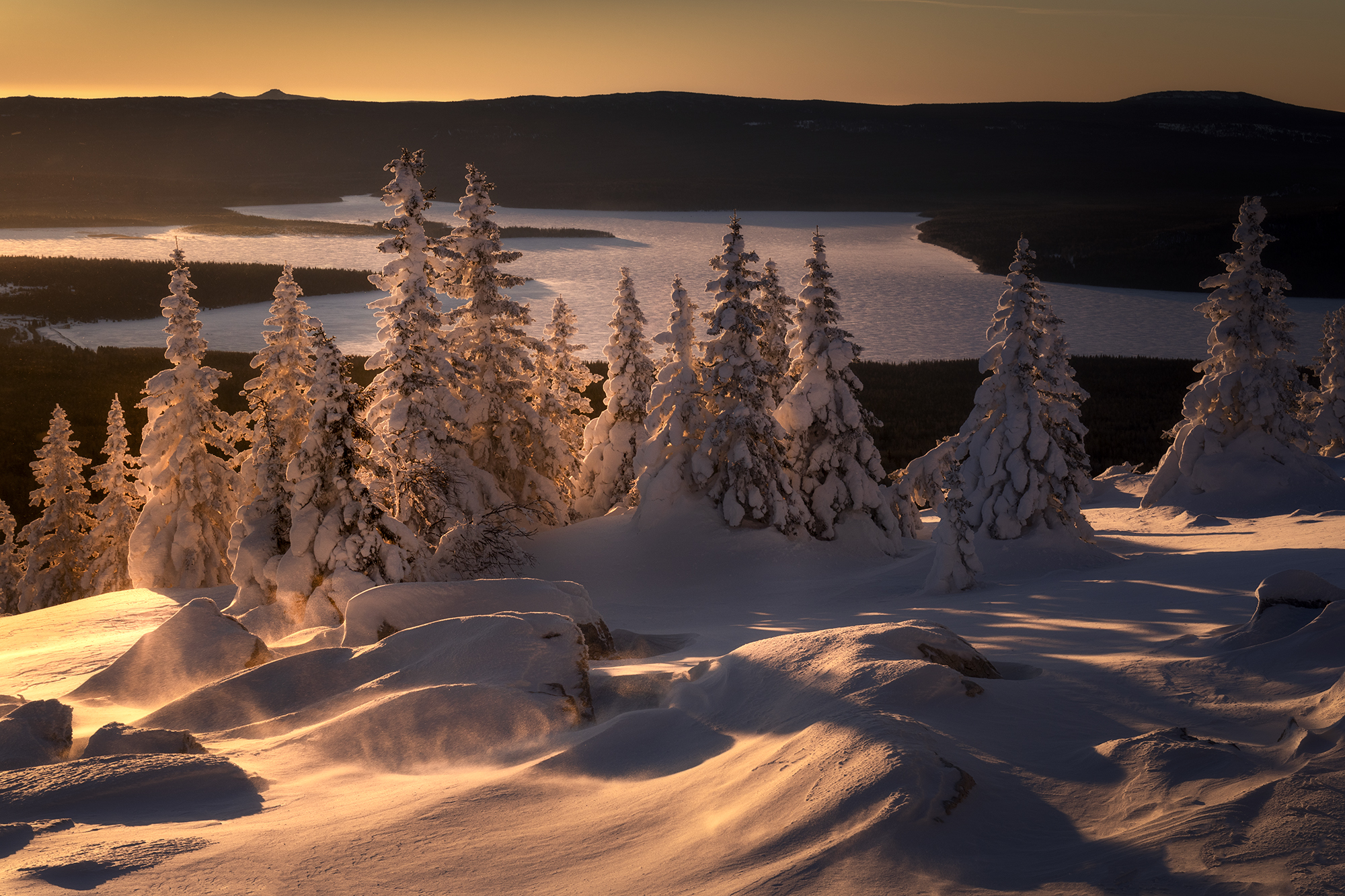 , Татьяна Бирюкова