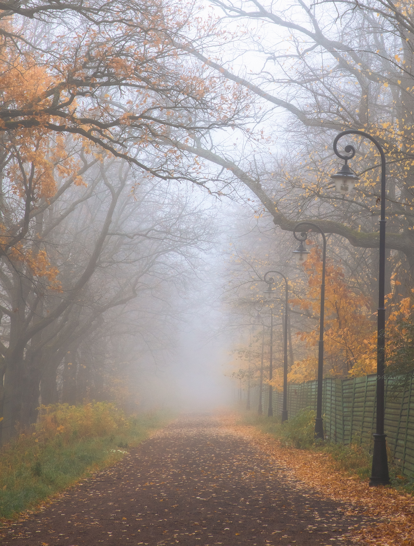 , Чернов Юрий