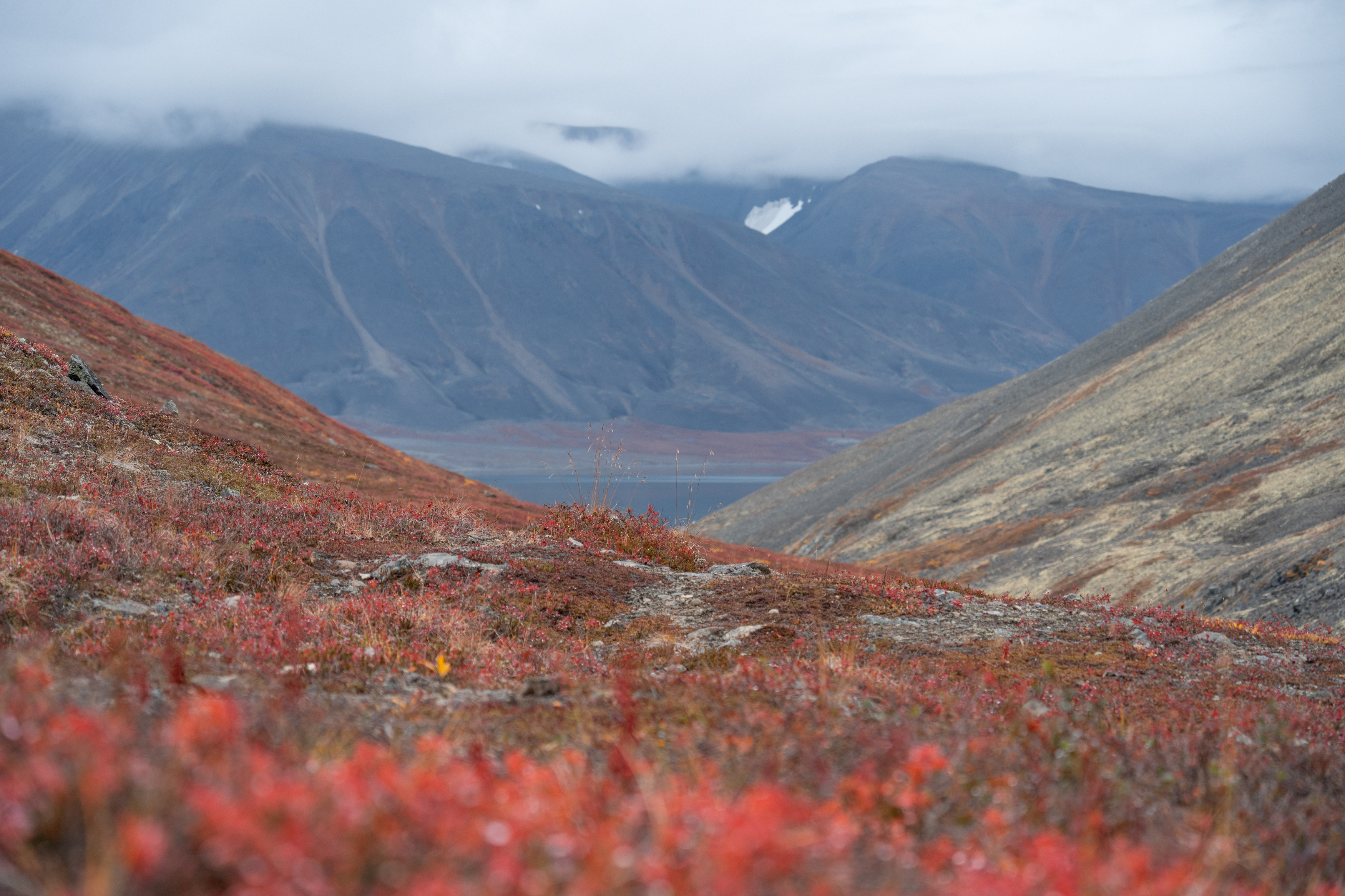 , Андрей Гусаров