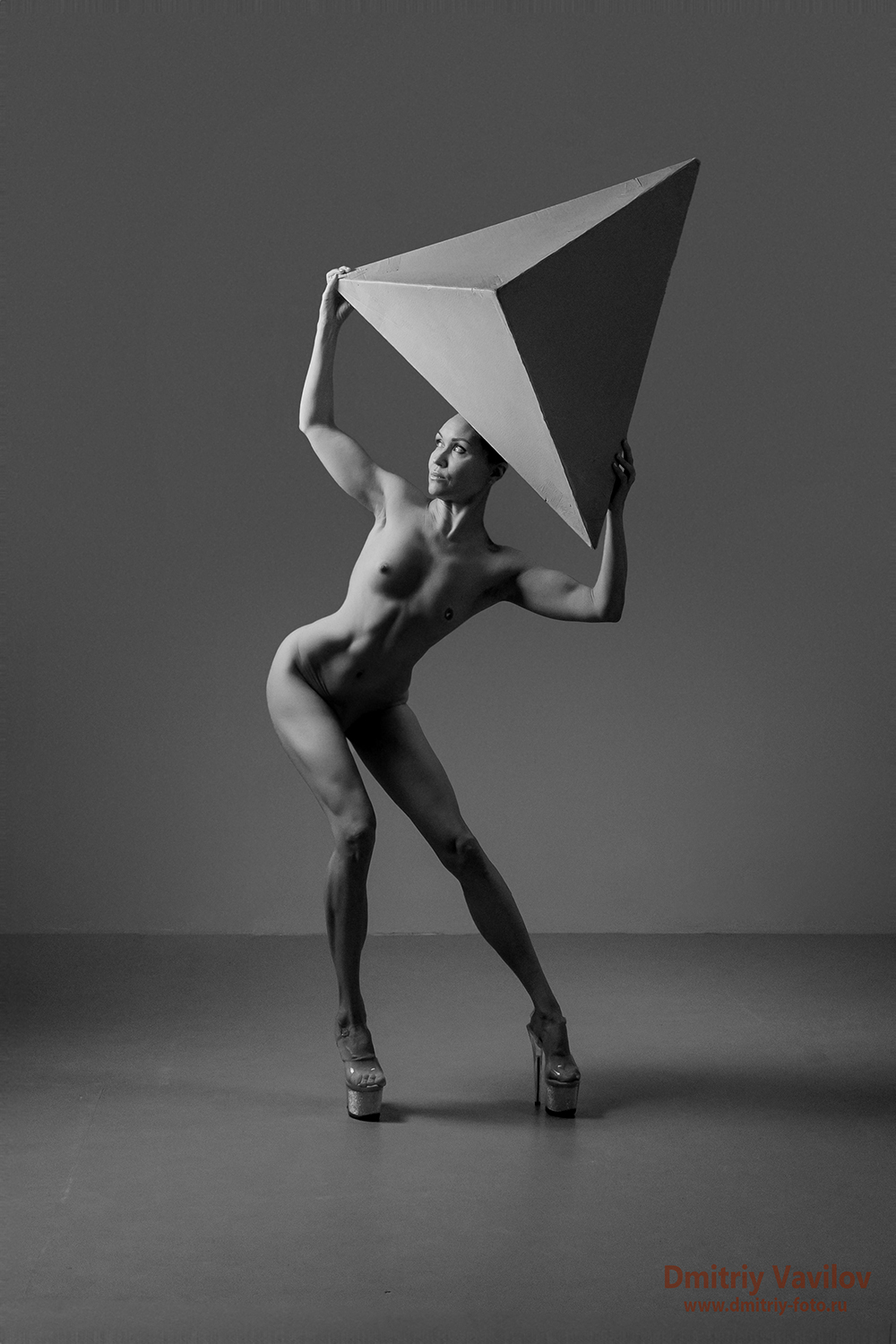 , Дмитрий Вавилов