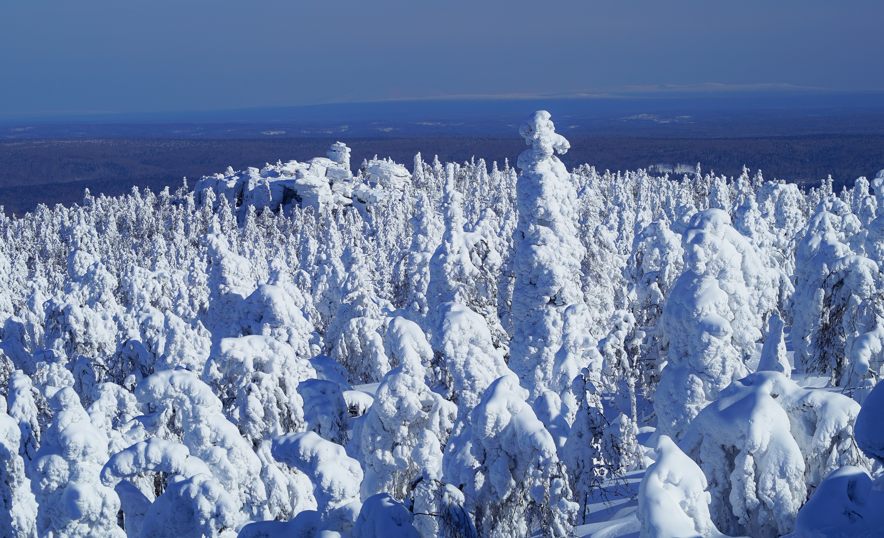 Россия, Пермский край, Красновишерск, Помянённый Камень, Колчимский Камень, , Гаврилов Юрий