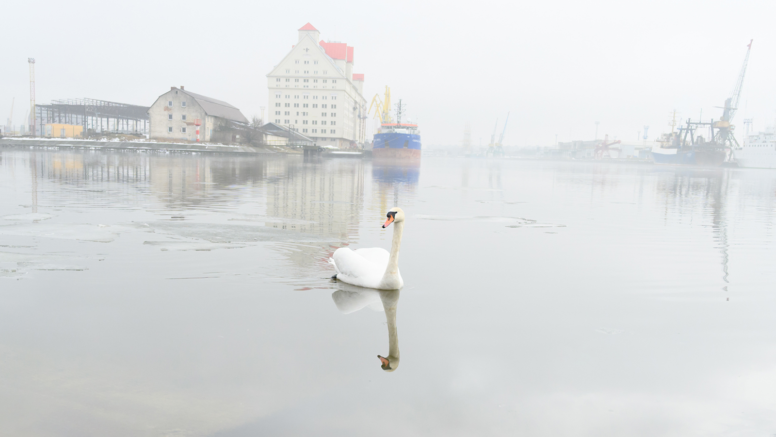 калининград, туман, река, Popoff Dmitry