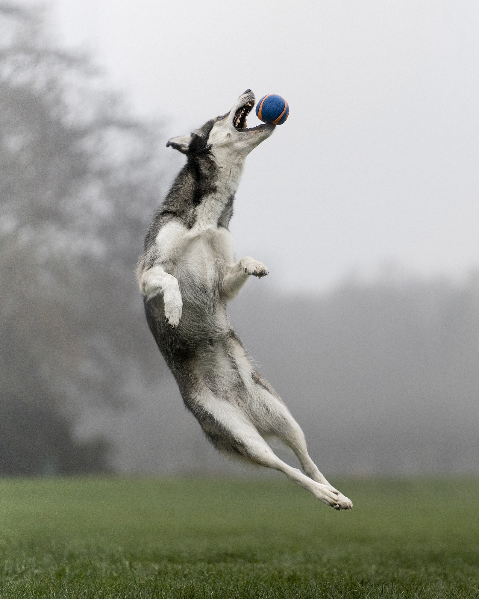 , Krisztián Csalami