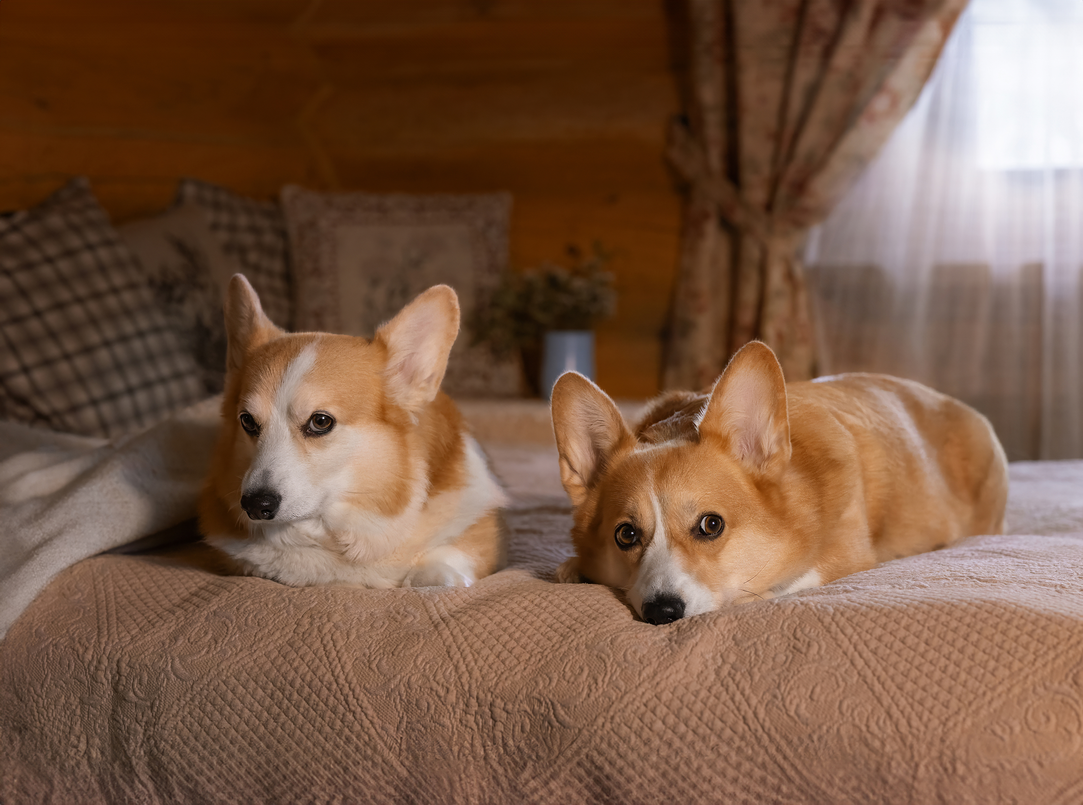 , Татьяна Тихомирова