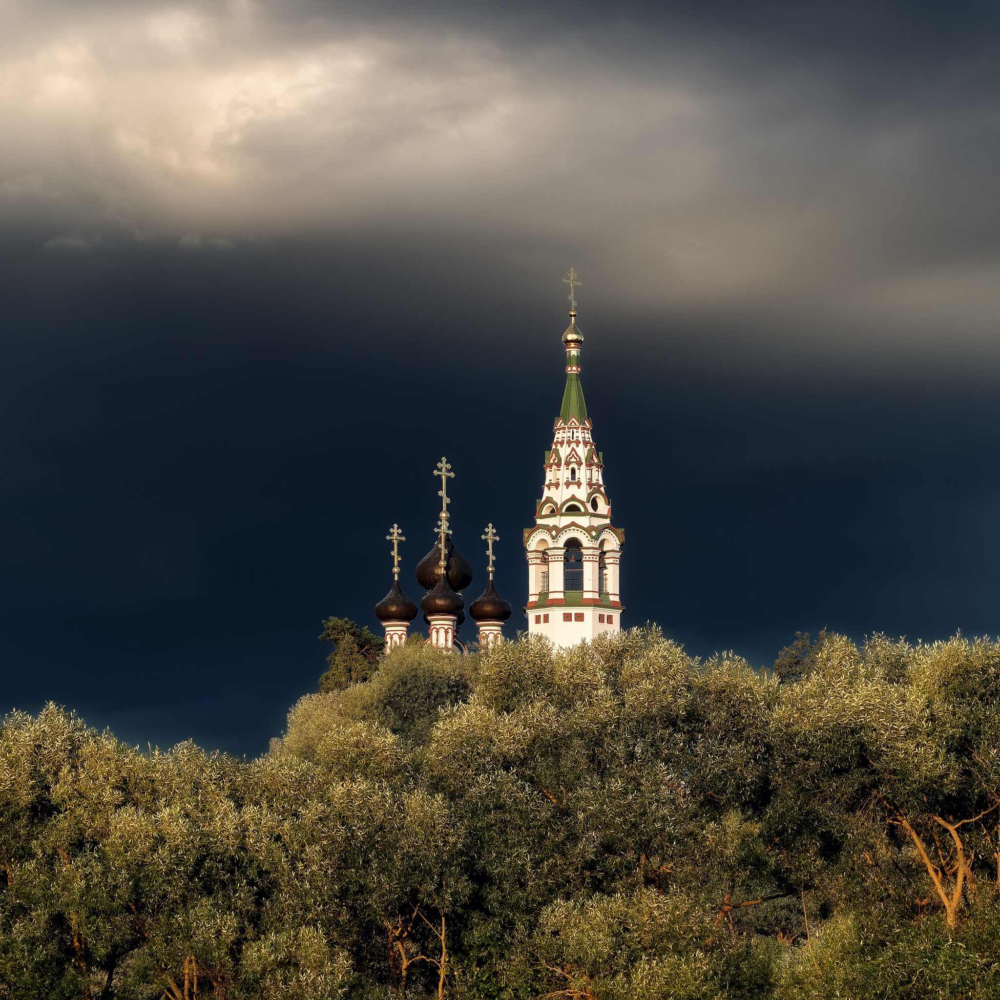 , Загруев Михаил