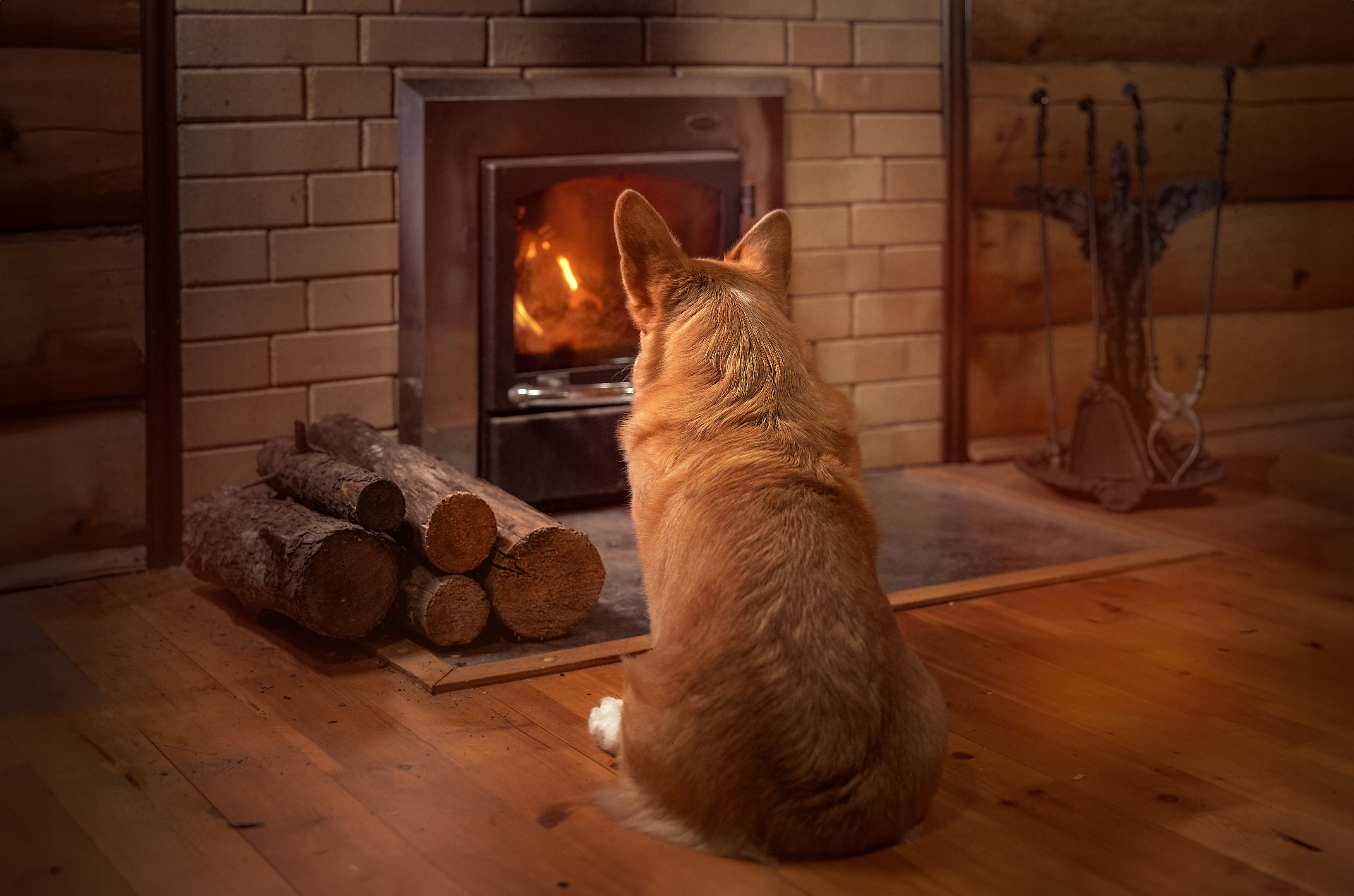 , Татьяна Тихомирова