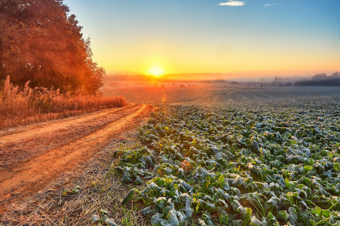 беларусь, иней, минск и окрестности, облака, октябрь, осень, поля, рассвет, туман, утро, Вейзе Максим
