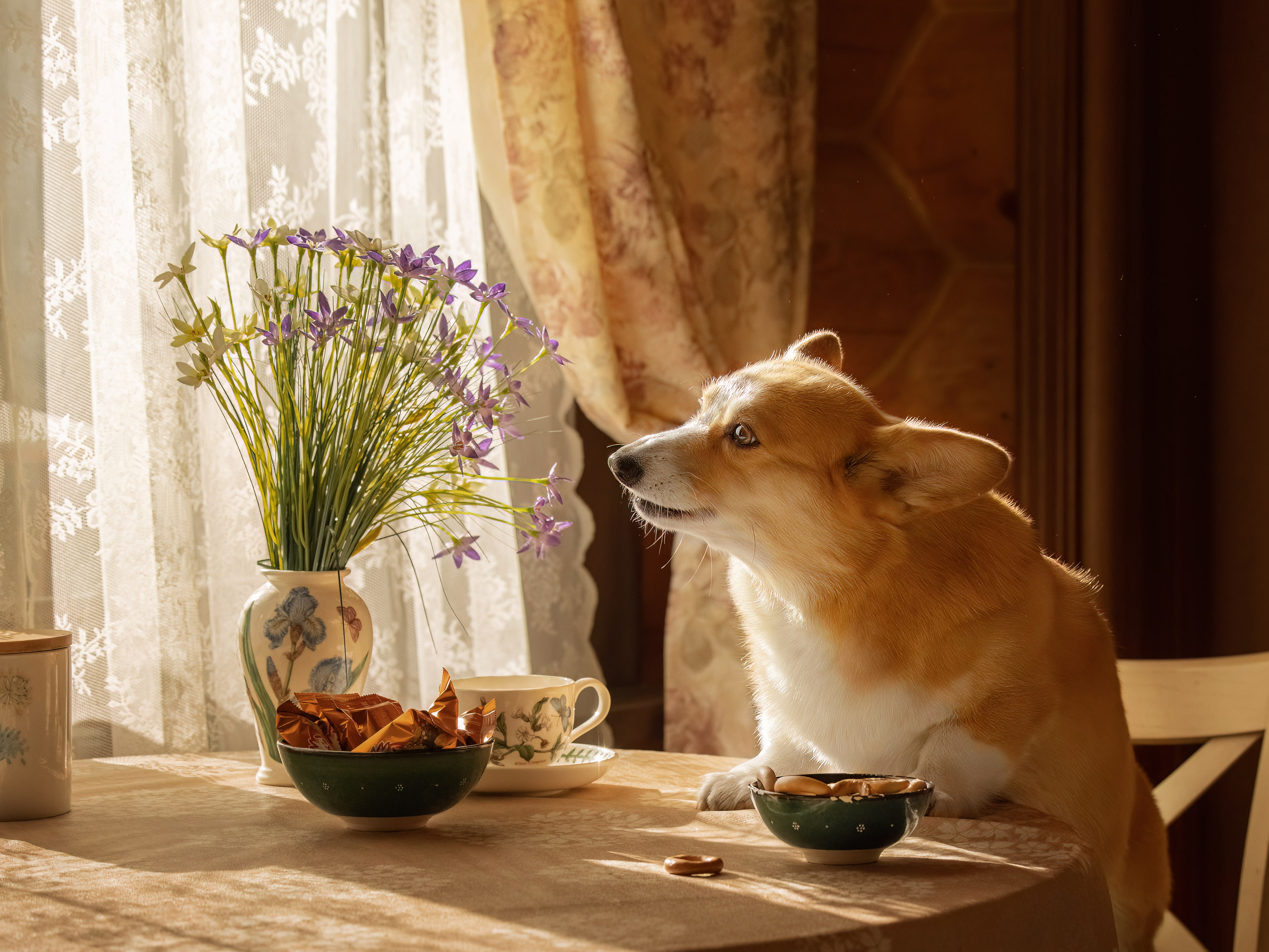 , Татьяна Тихомирова