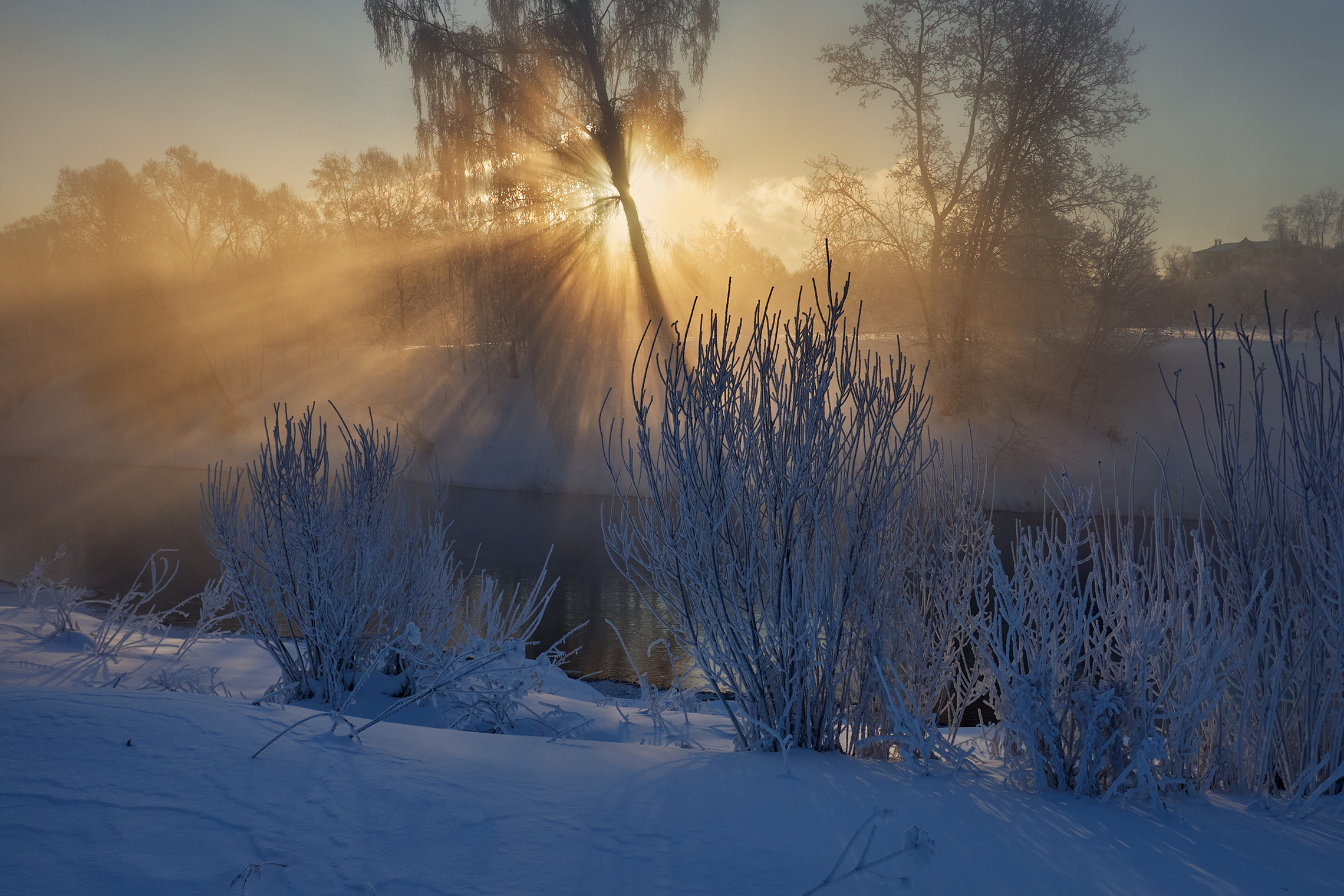 новый иерусалим, река истра, зима, мороз, иней, туман, Медведев Александр