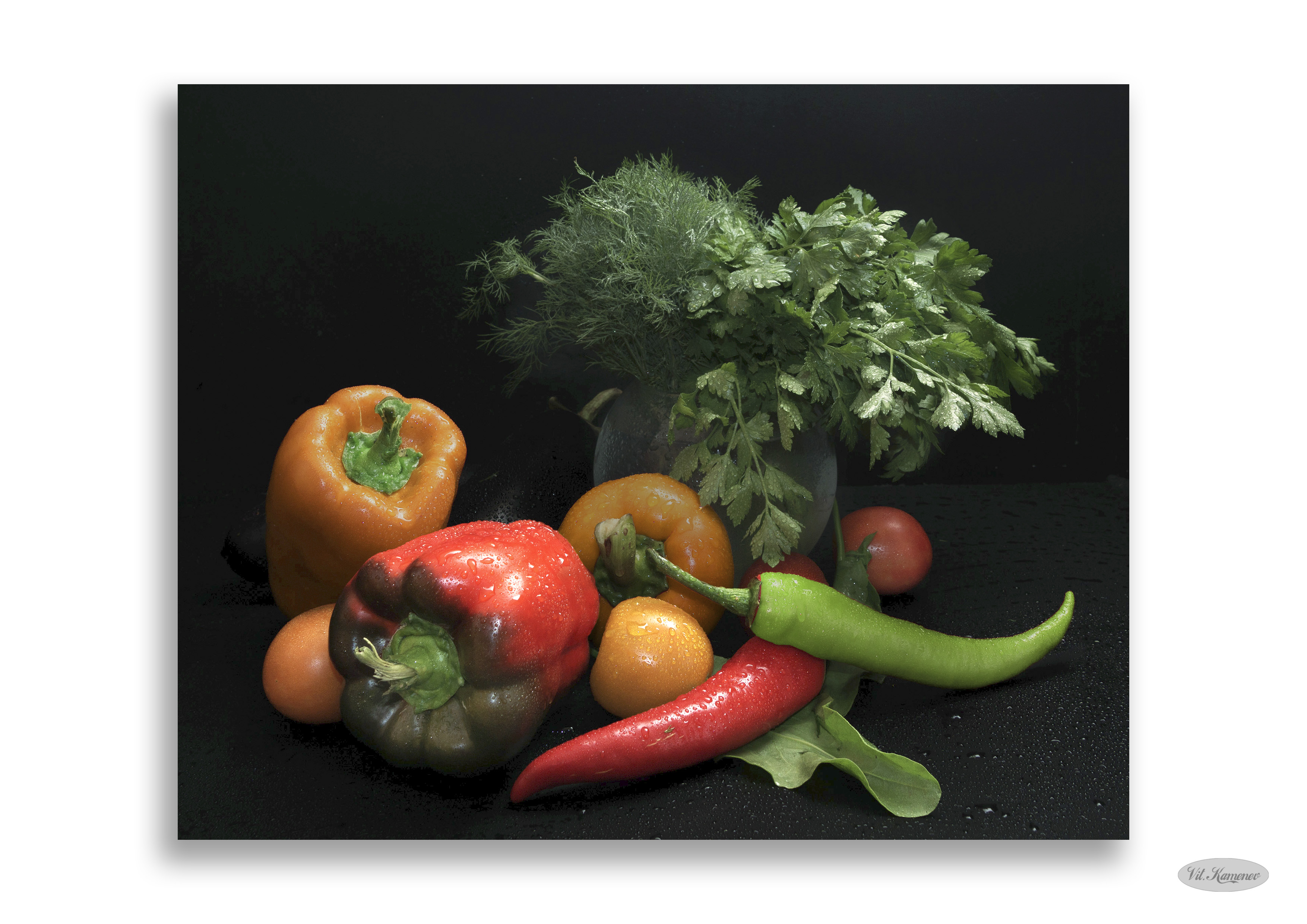 , Каменев Виталий