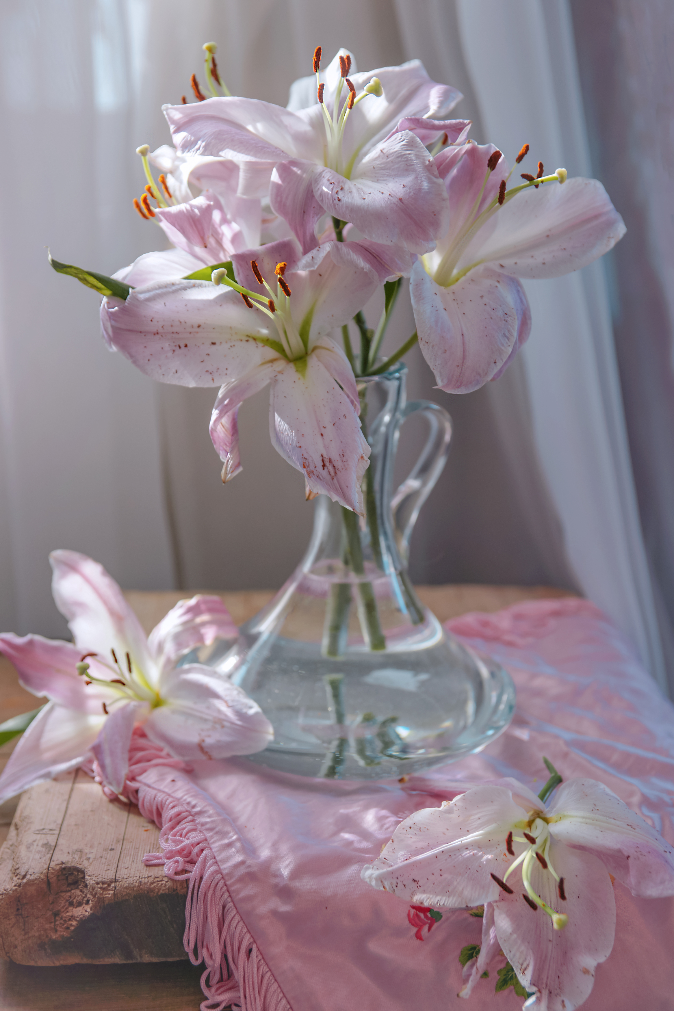 , Сушкевич Светлана