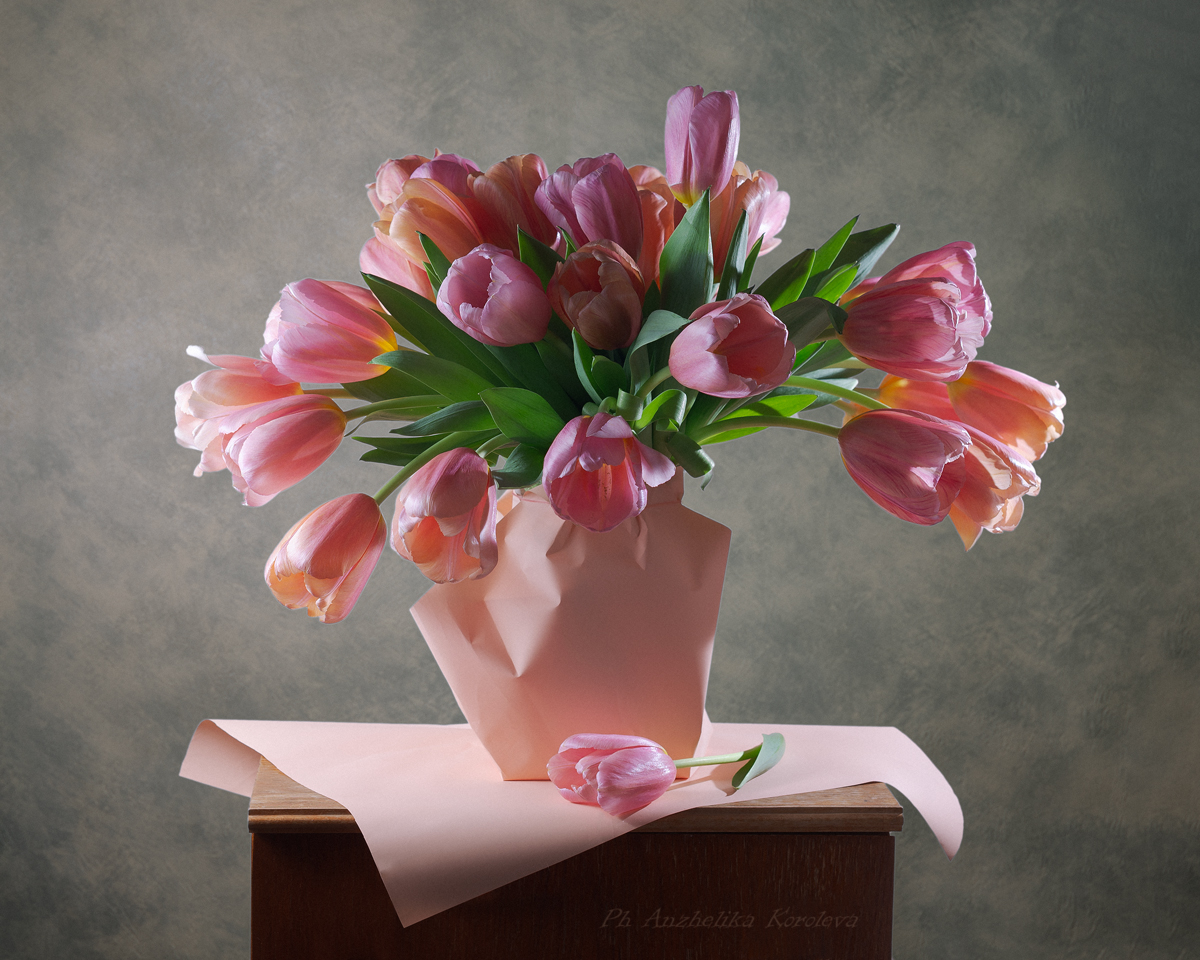 , Анжелика Королева