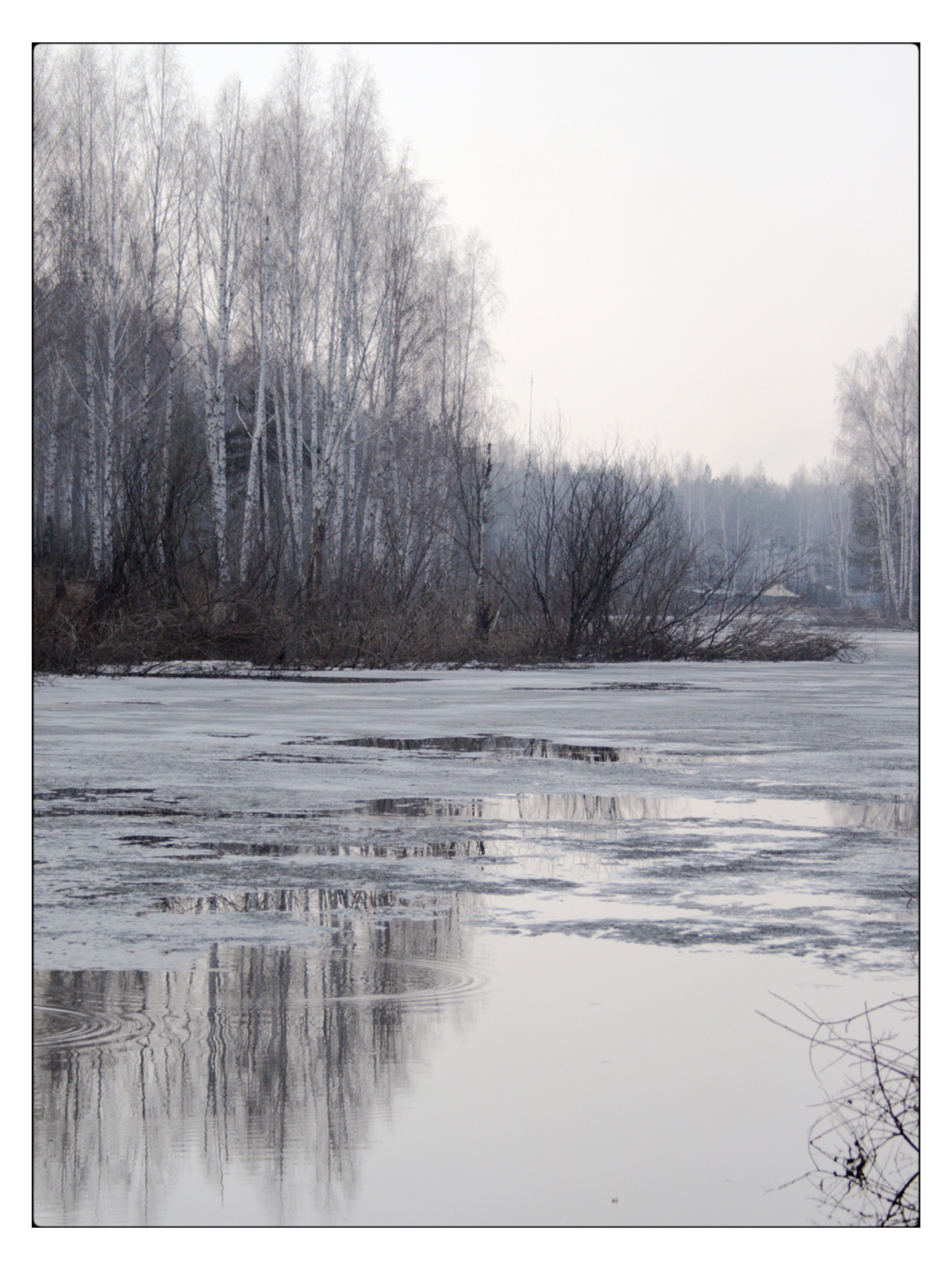 , Герасимова Алёна