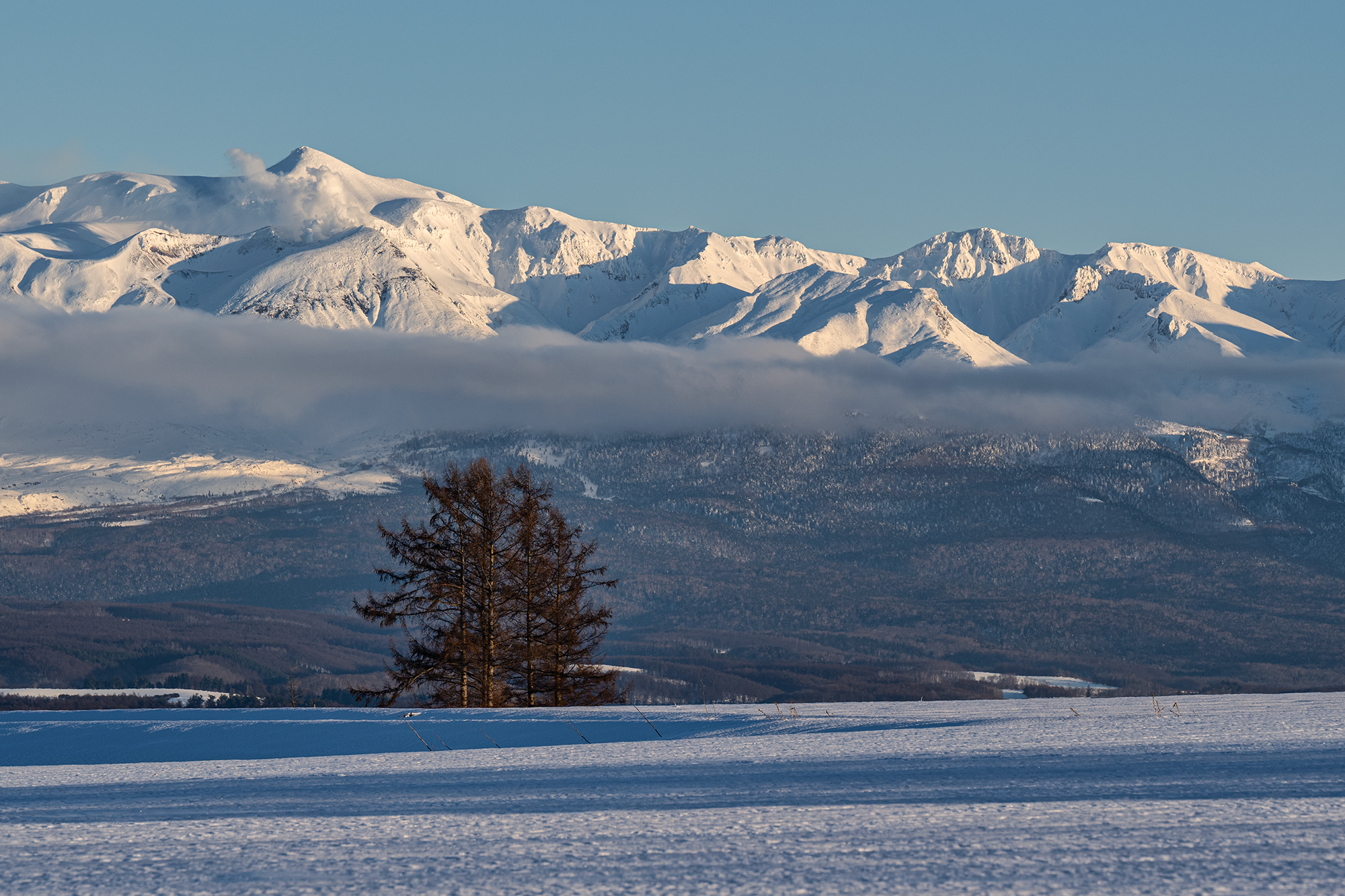 , Vladimir Vorobeychik