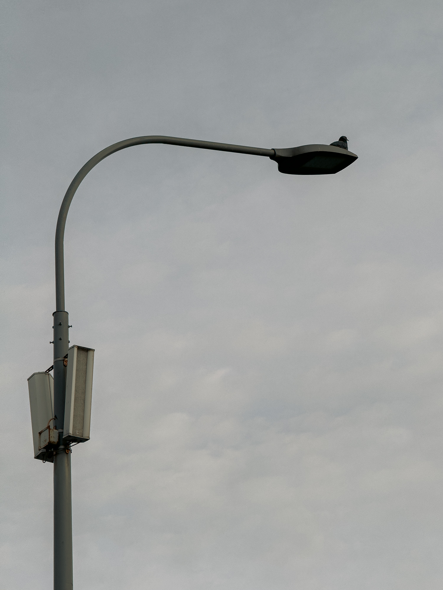 нателефон, айфон, Vladislav Zabolotnykh