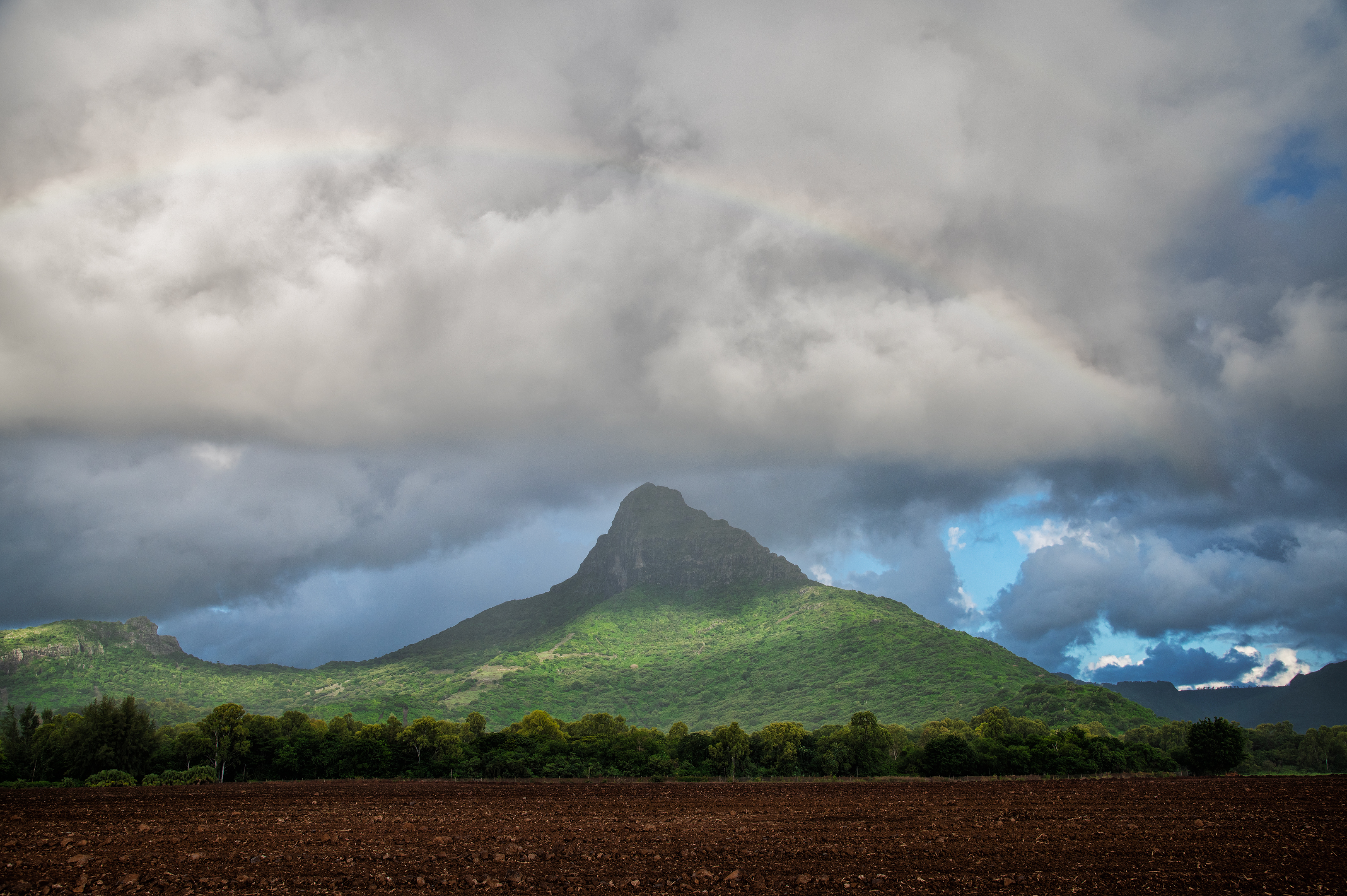 , Роман Князев