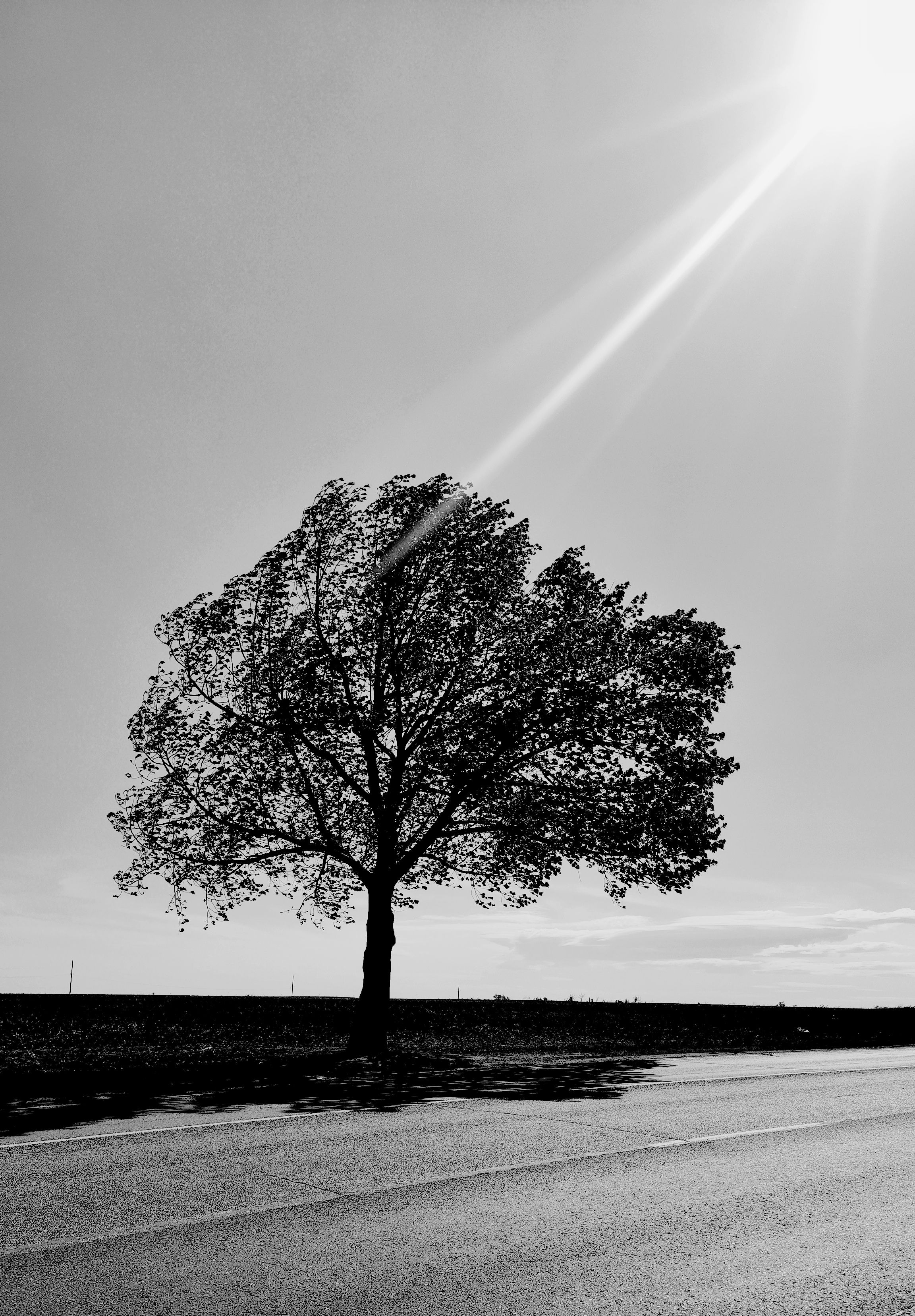 , Никулин Сергей