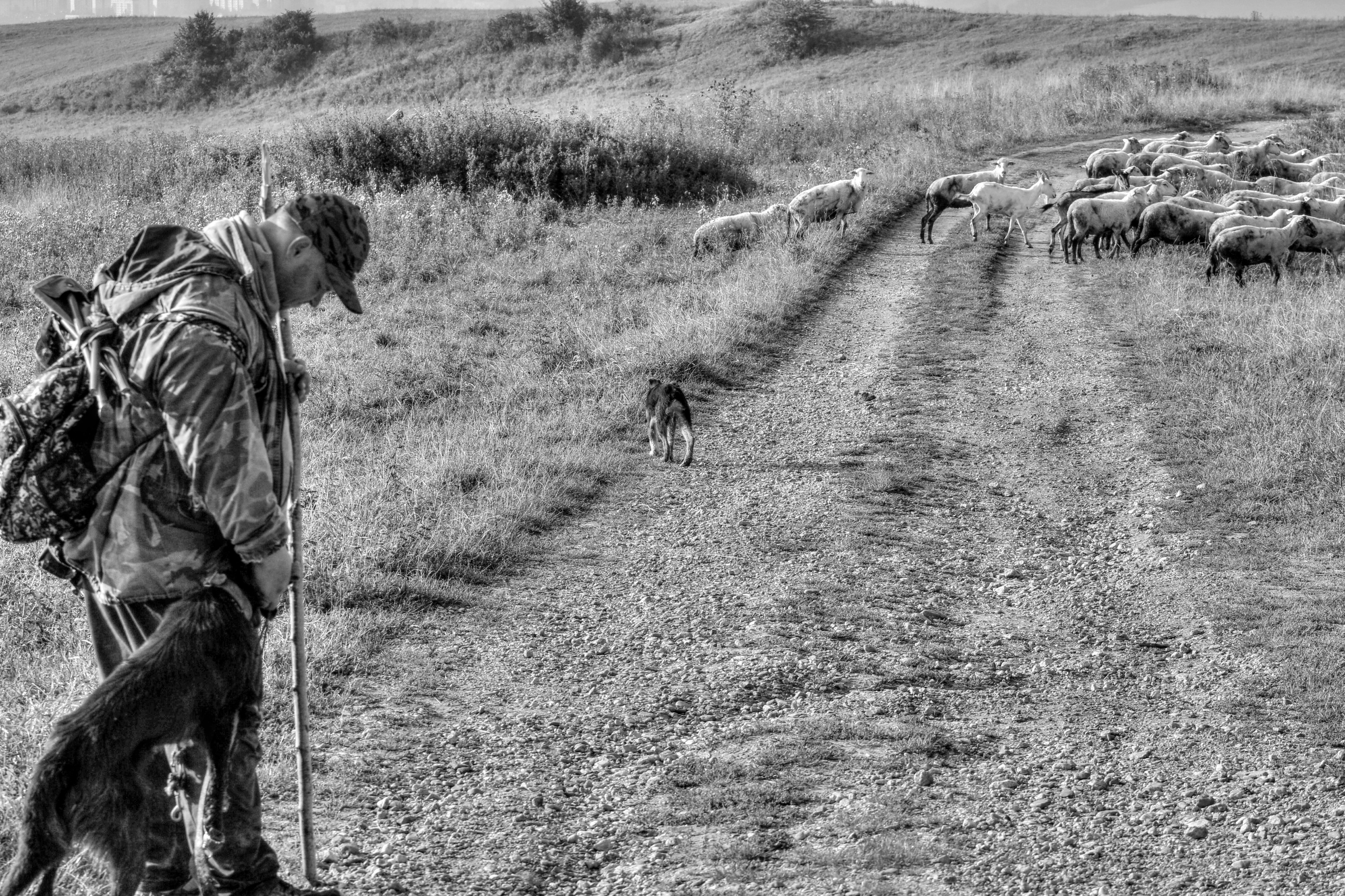 , Magdalena Kolenicova